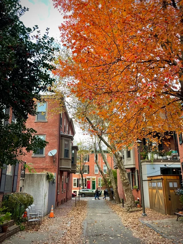 Autumn leaves on a quiet residential street in Philadelphia 19103, symbolizing seasonal anxiety and local therapy support.