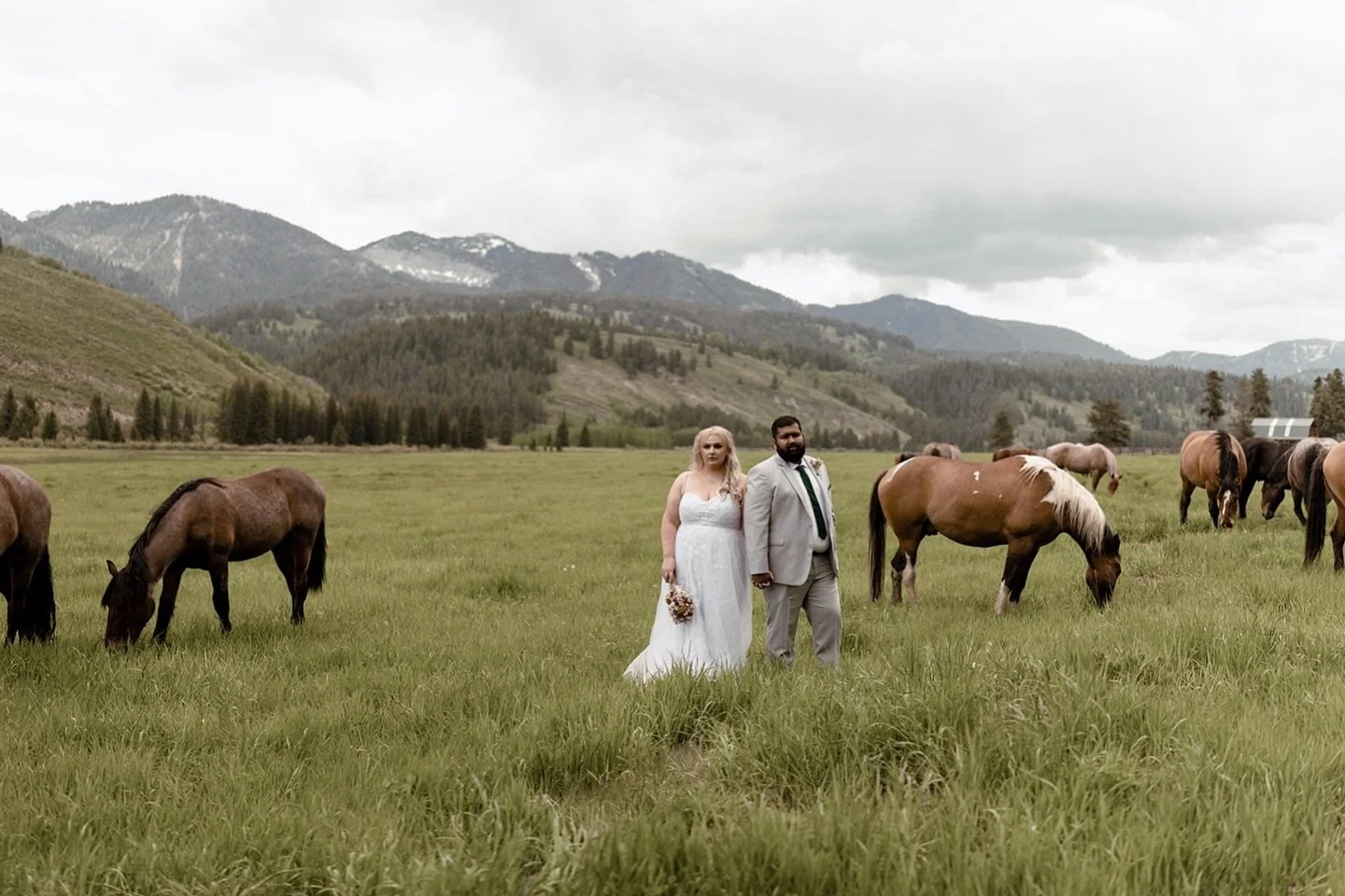 Trying to catch up on a few years of photos! 
Wyoming 2023