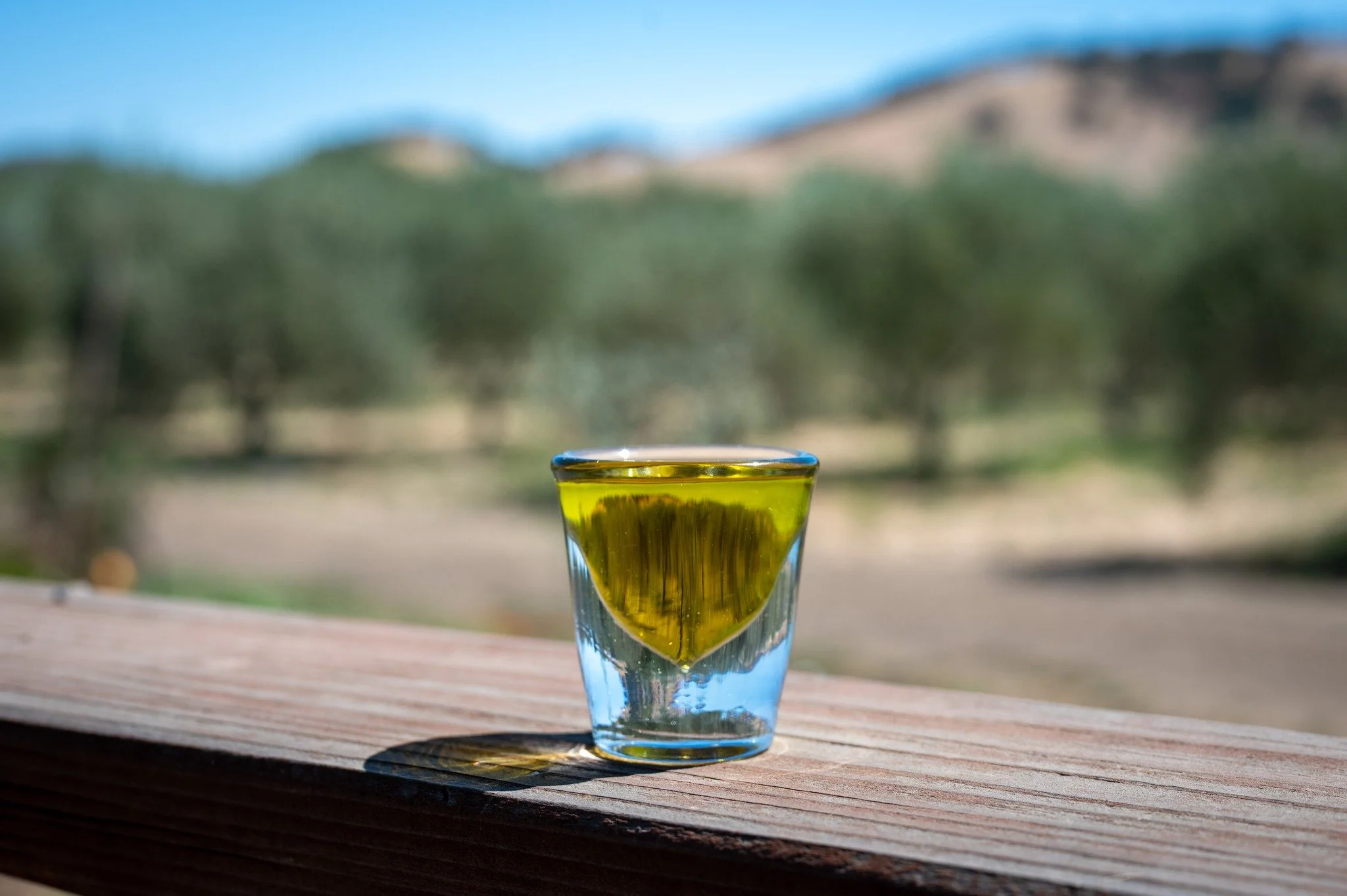 olive oil.jpg
