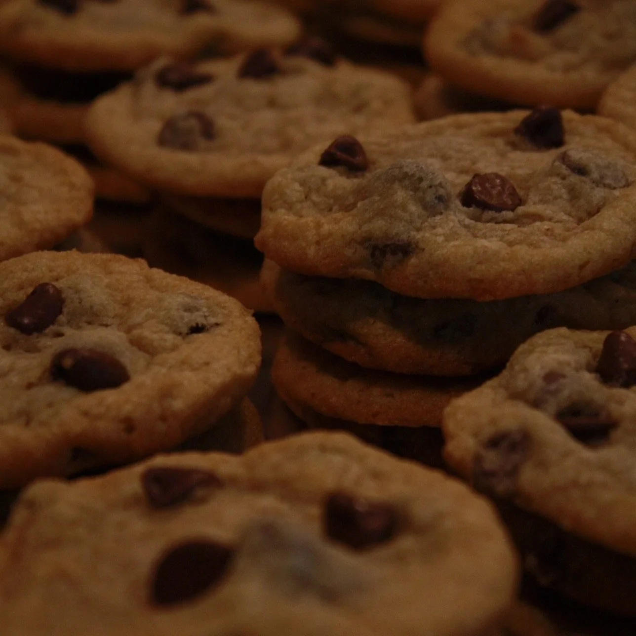 Chocolate chip cookies are available this Saturday!

⏰ 9am-12pm
🗓️January 10th
📍Oak Creek Community Center
8580 S Howell Ave

Let us cater your next event! Order online for free local delivery at www.modobakery.com

#wisconsin #mke #desserts #cater