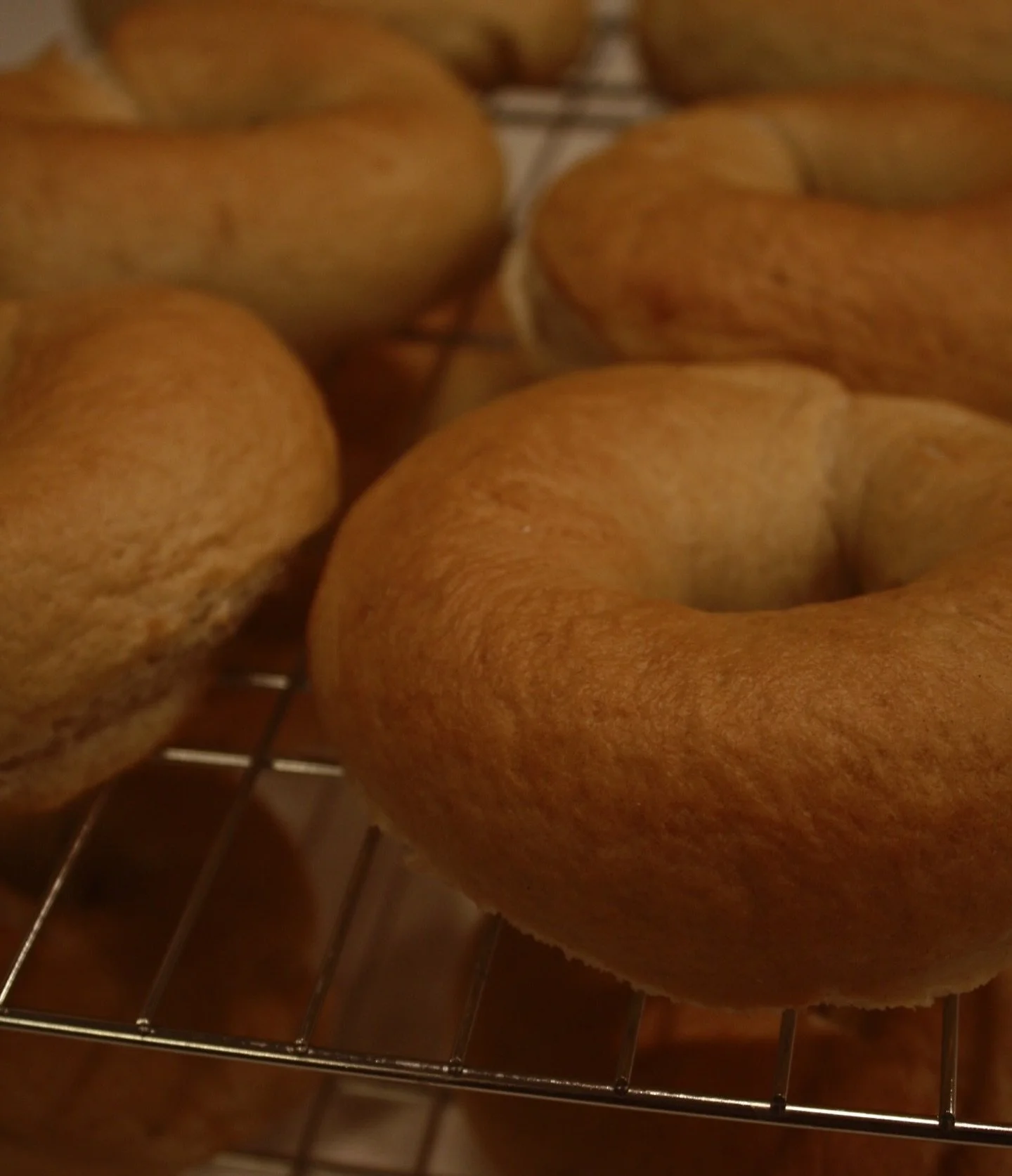 Big bagels have hit our shelves!!

Come get your pack of 3 big bagels tomorrow at Oak Creek Community Center. Our flavors this week are plain and everything seasoning.

January 24th
9am-1pm
8580 S Howell Ave, Oak Creek 

Can&rsquo;t make it tomorrow?