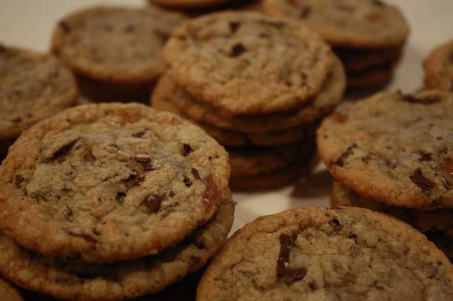 Tomorrows rotating cookie flavor is Caramel Chocolate Chip 🍪

⏰ 9am-1pm
🗓️March 21st
📍Oak Creek Community Center
8580 S Howell Ave

Let us cater your next event! Order online for free local delivery at www.modobakery.com

#wisconsin #mke #desserts