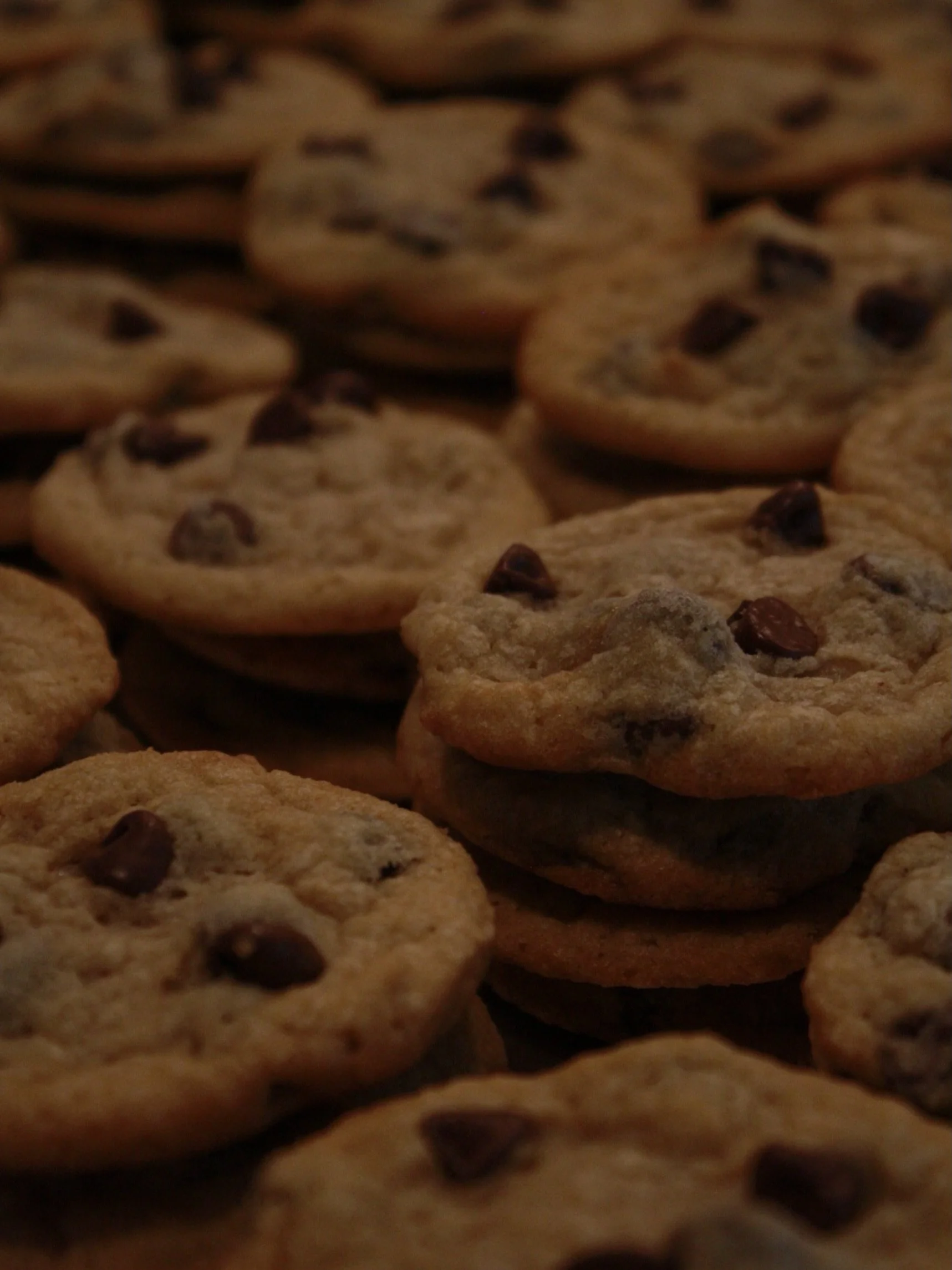 Our soft and chewy cookies are waiting for you at the Oak Creek Farmers Market 🍪

Opening Day is Saturday, May 2nd
⏰ 9 am - 1 pm
📍361 W Town Square Way
Oak Creek, WI

Let us cater your next event (dinner party, corporate lunch, birthday, and everyt