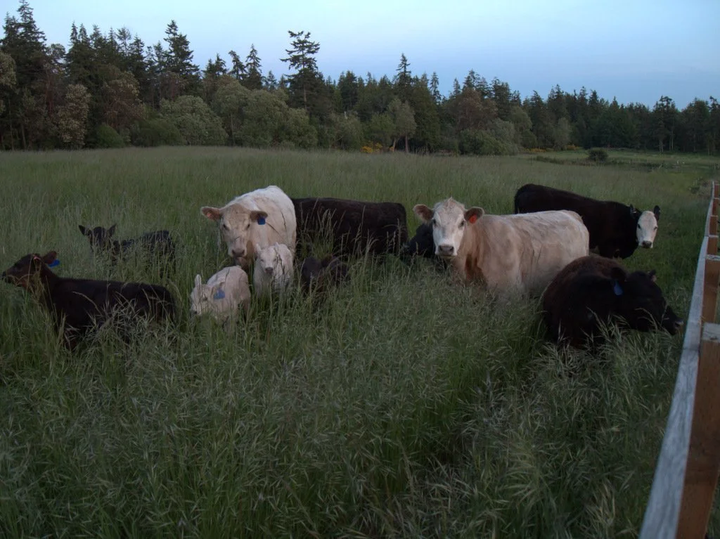 Hood St. Block Party