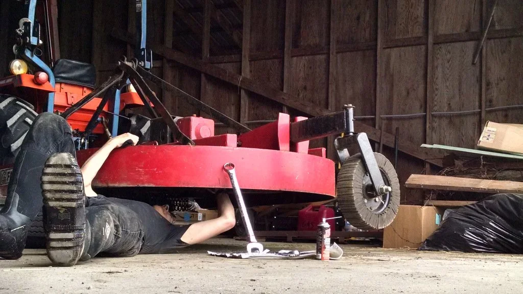 Fathers Day on the Farm