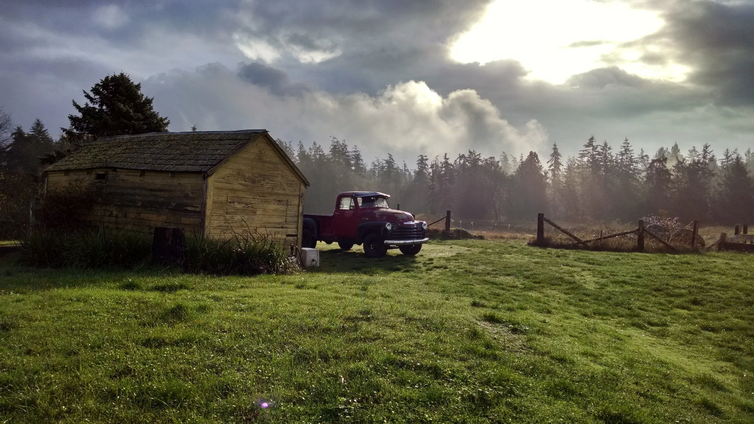 Work Party! This Sunday, June 25th