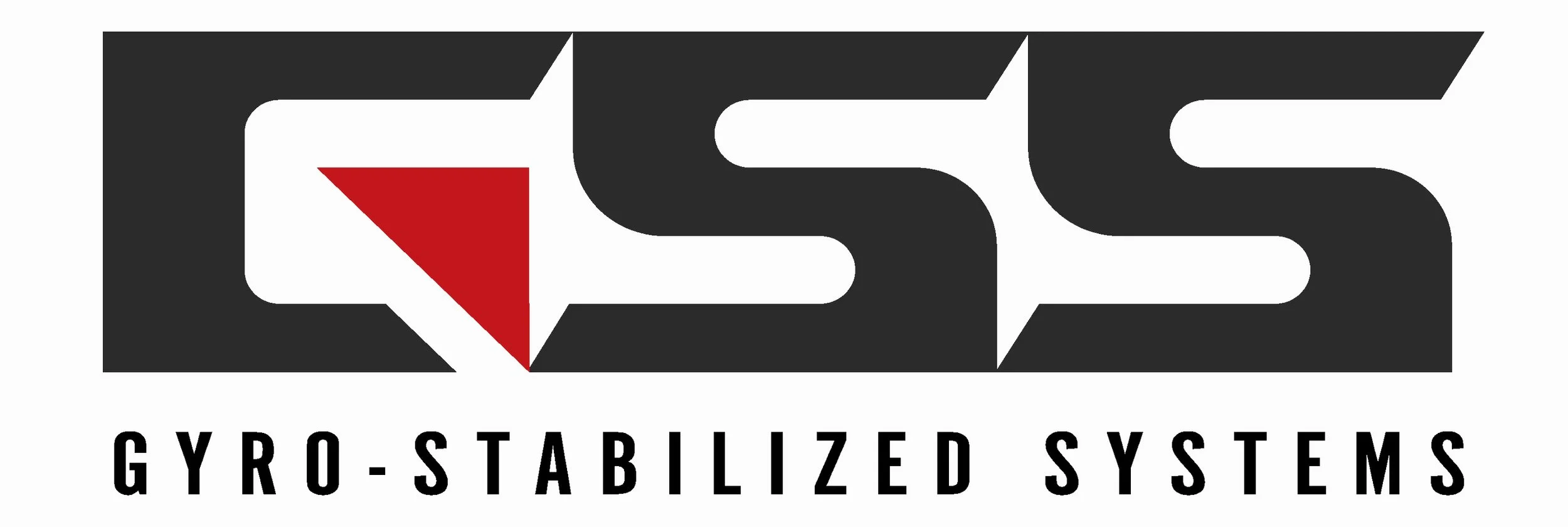 Logo of QSS Gyro-Stabilized Systems featuring stylized black initials with a red triangle inside the letter Q and the company name below.