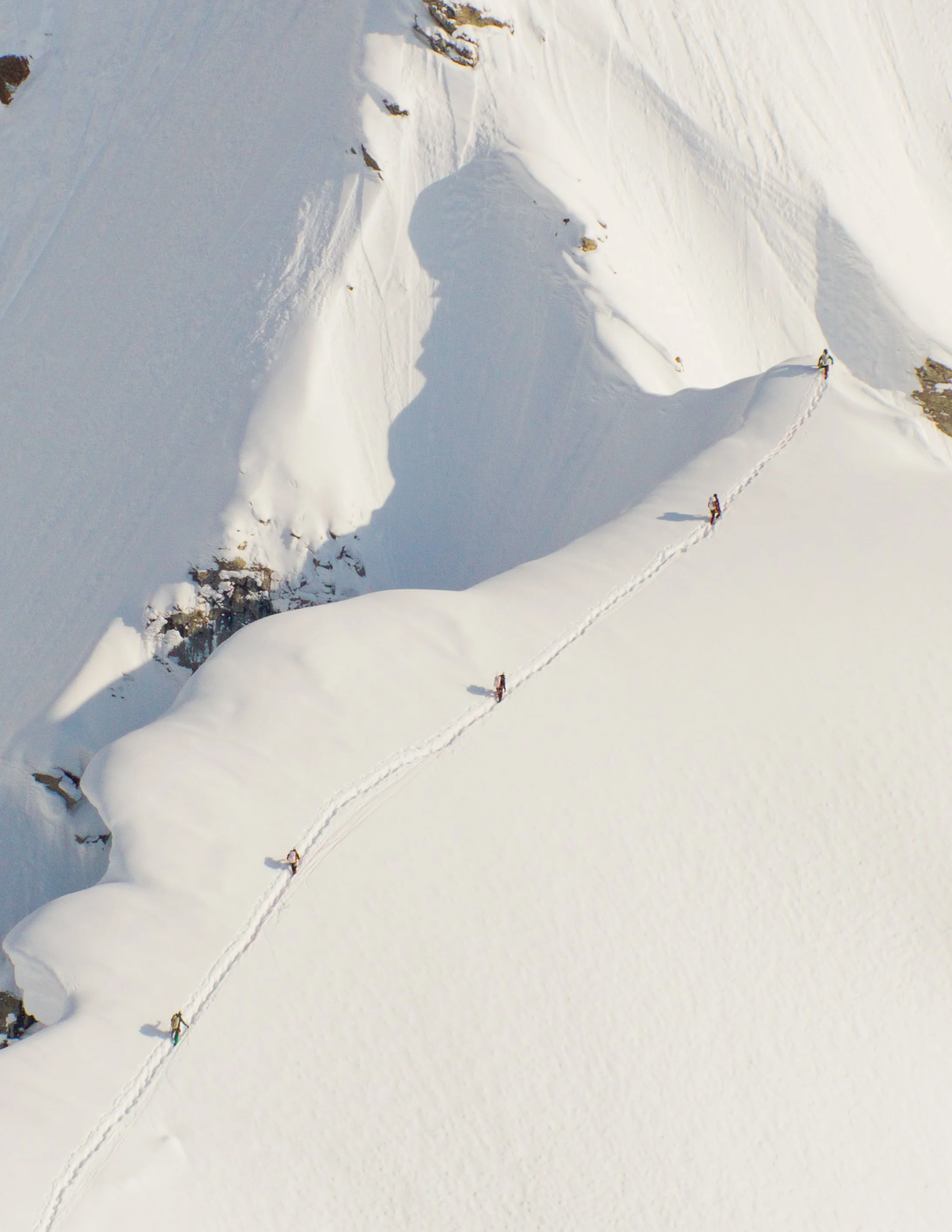 The North Face Mellow Films