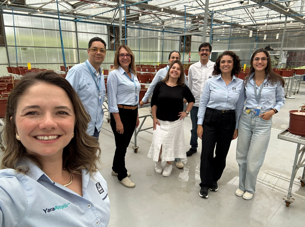 Yara Fertilizantes - Treinamento Apresentações
