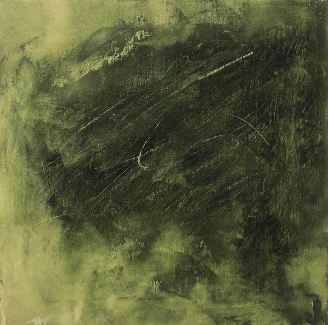 Summer Lawns from Forest Drones