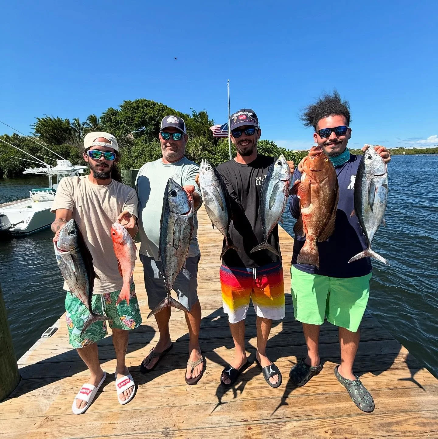 Nice little afternoon meat mission