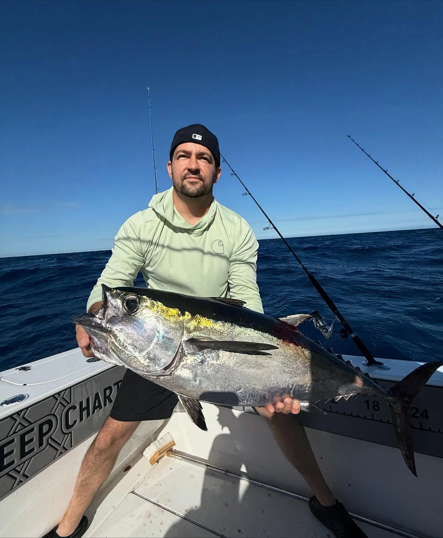 Some nice catches since I&rsquo;ve been back to work! Feeling like spring time again