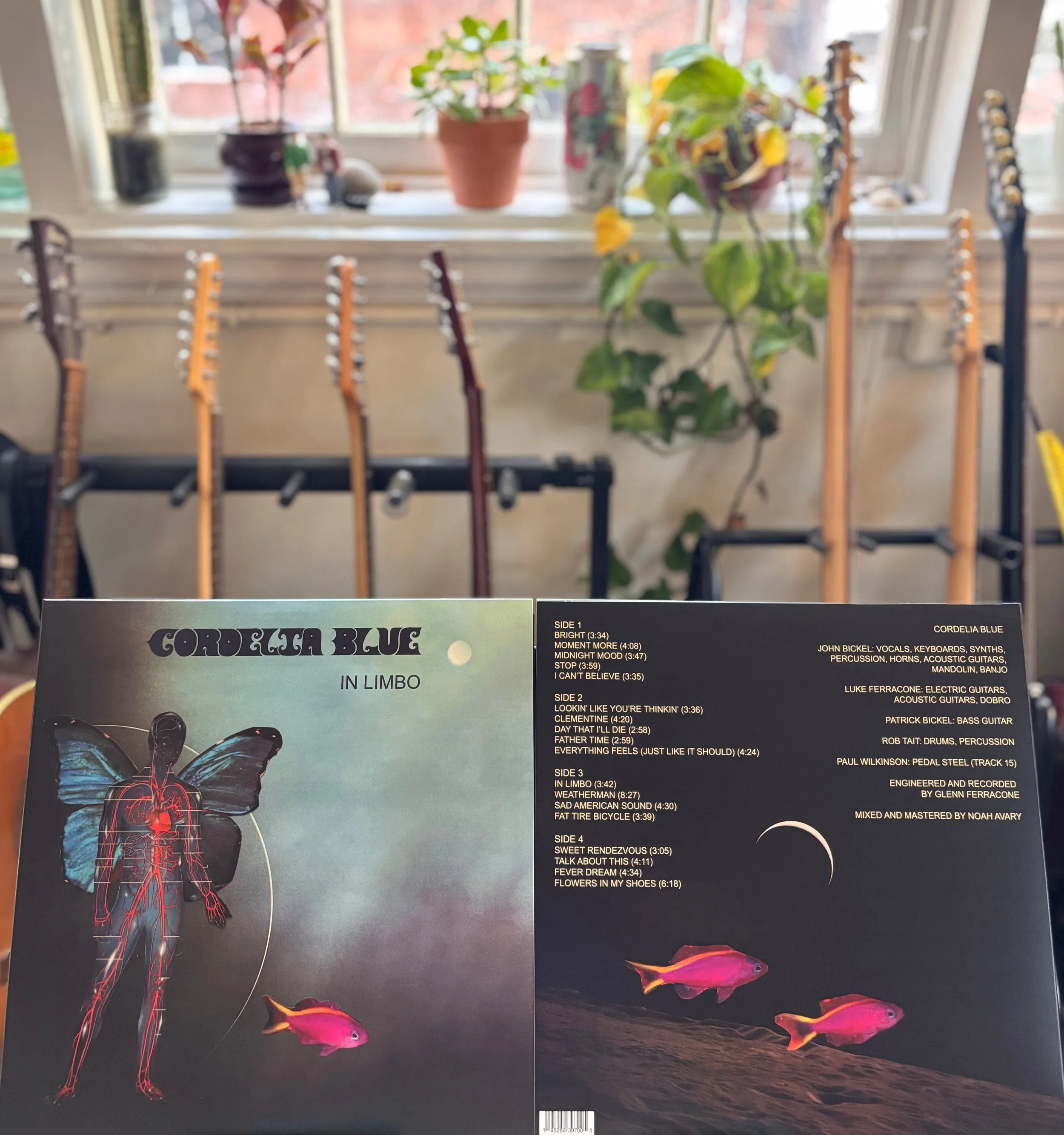 "In Limbo" Double Vinyl LP
