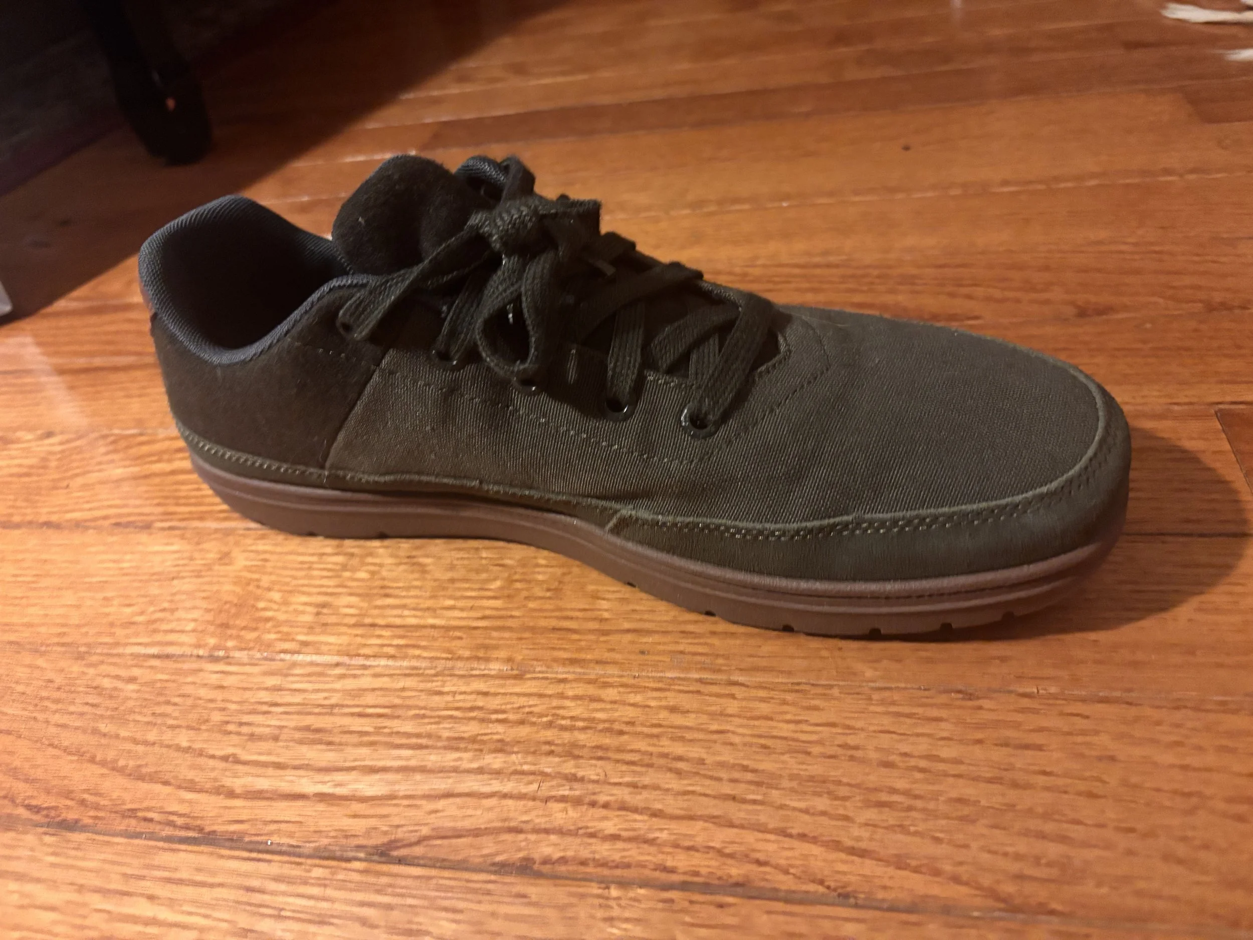 Athletic Shoe (left)