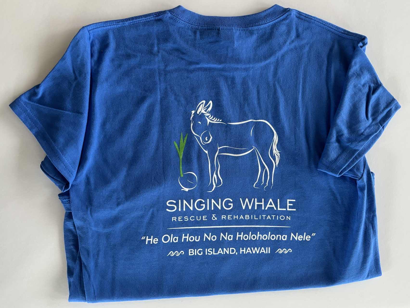 Coastal Blue Short Sleeve Tee