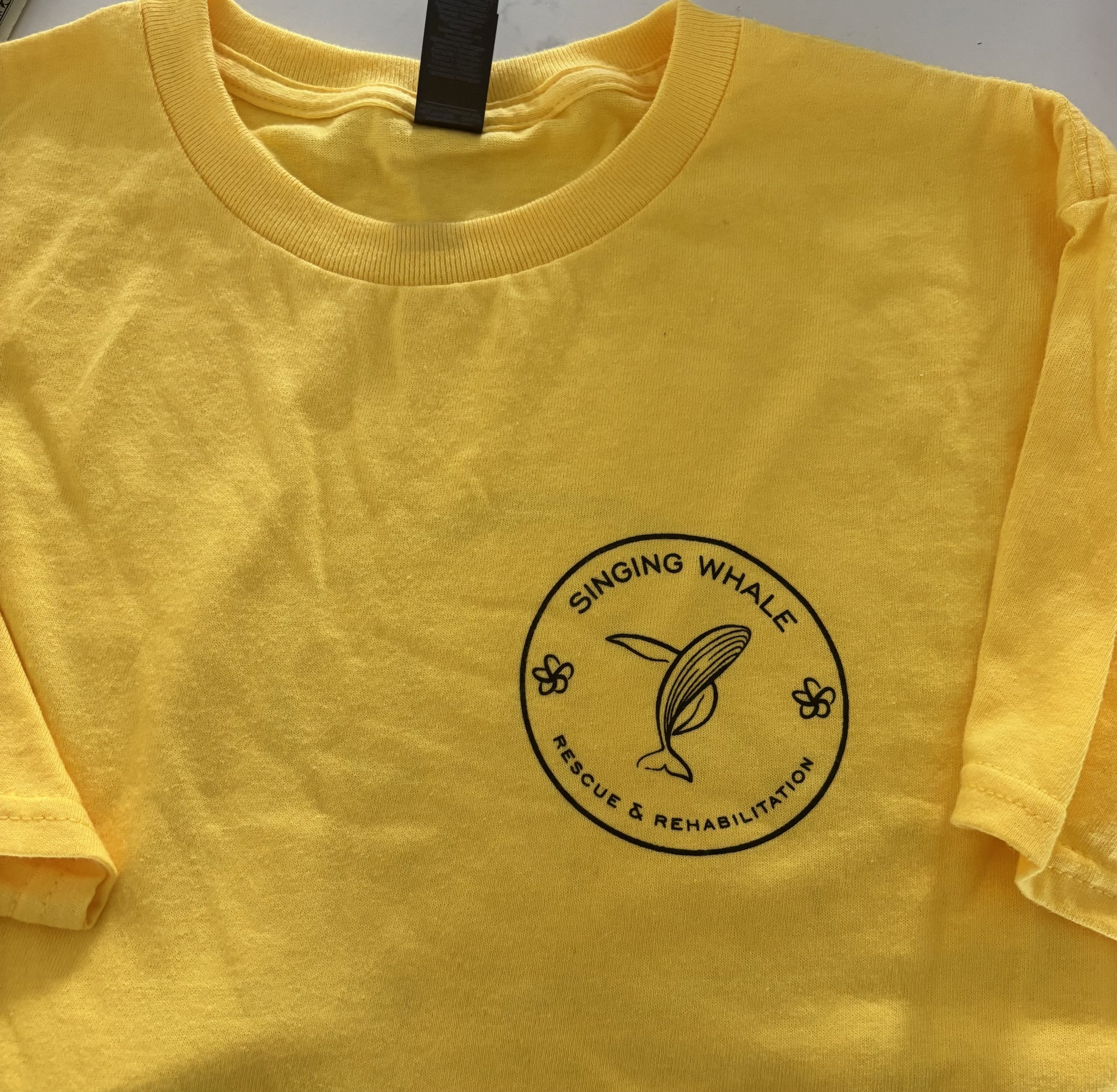 Short Yellow Bird Front.jpeg