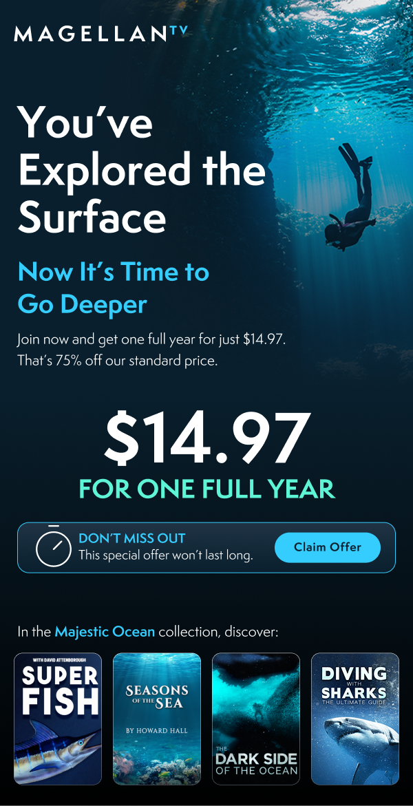 User Journey _ 1 Year $14.97.png