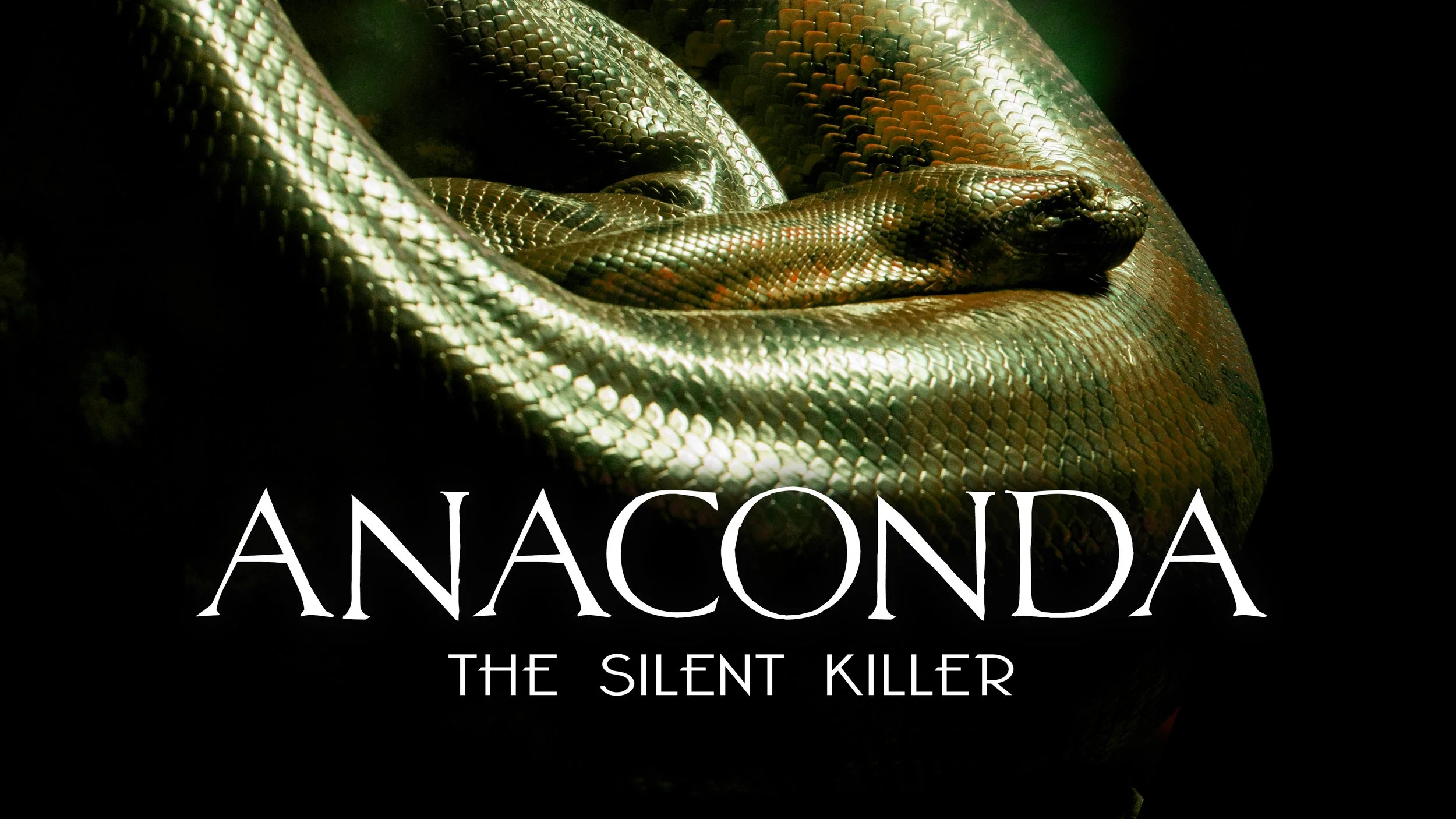 Anaconda_4k.jpg