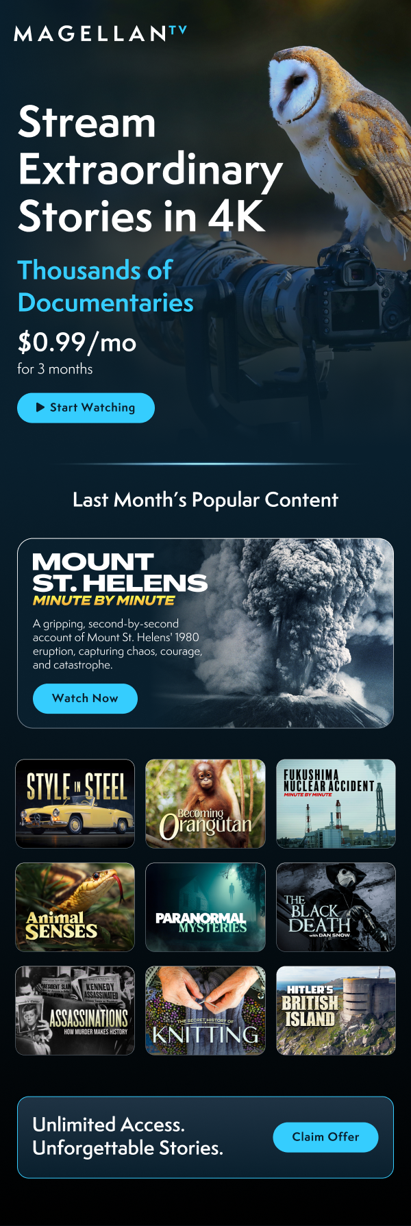 User Journey _ 3 Months $0.99.png