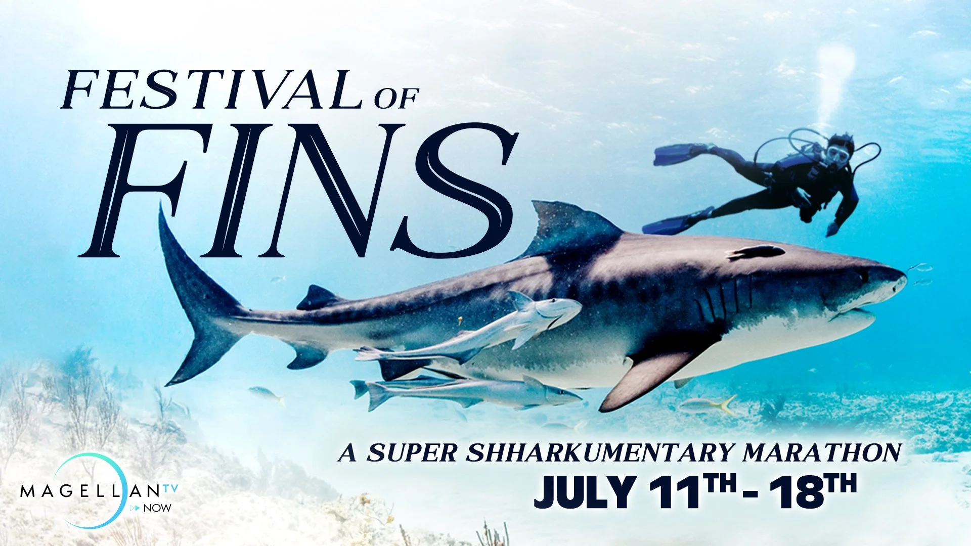 SharkWeek_MGTVNow_Social_16x9.jpg