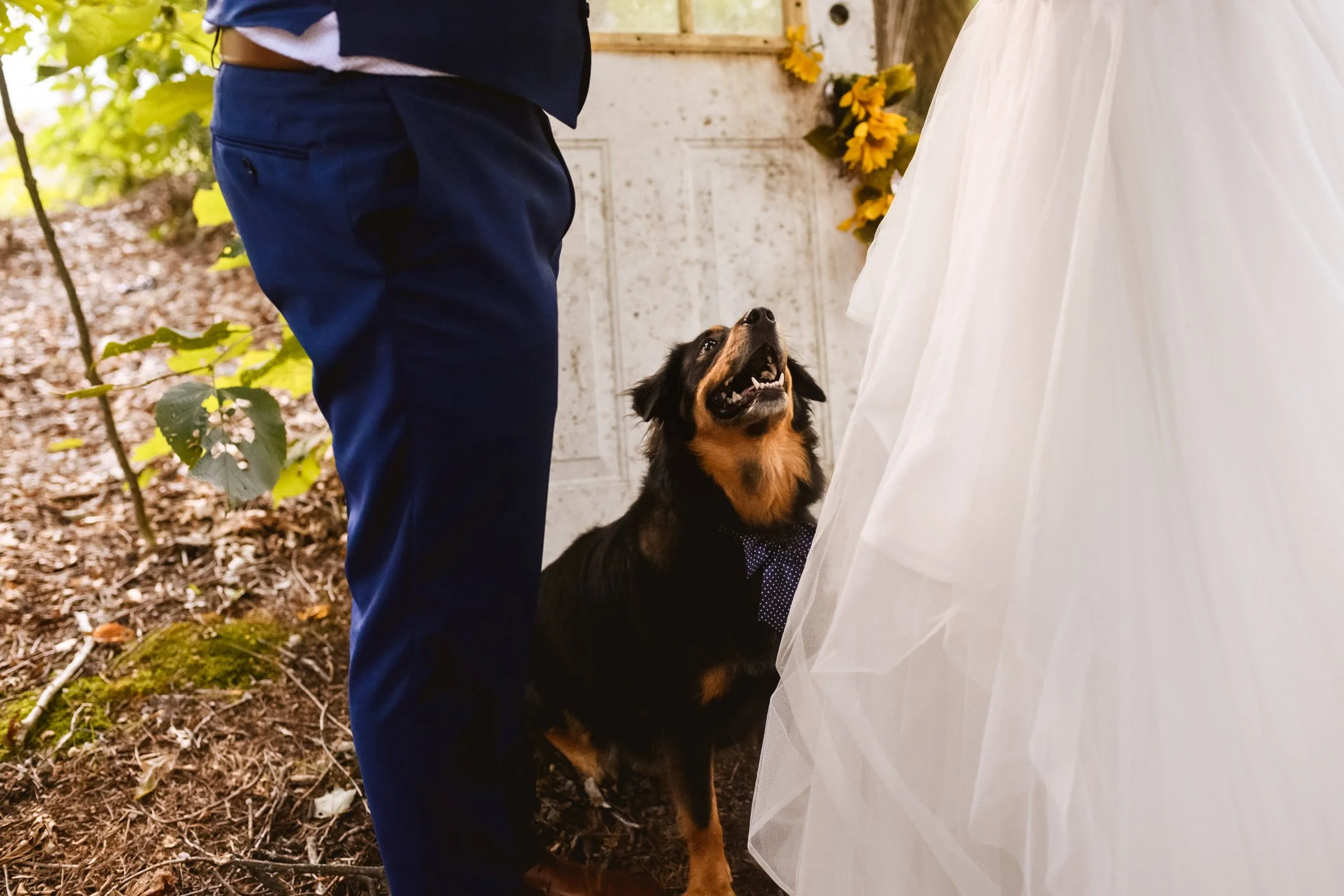 KarolinaDamienWeddingWEB_0222.jpg