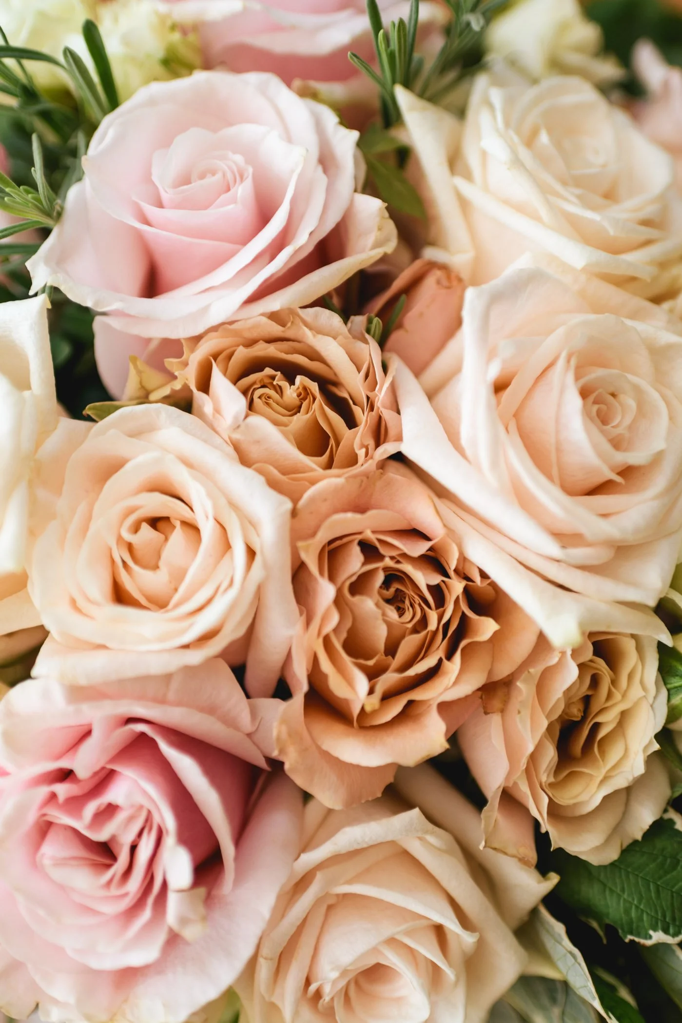 KarolinaDamienWeddingWEB_0021.jpg