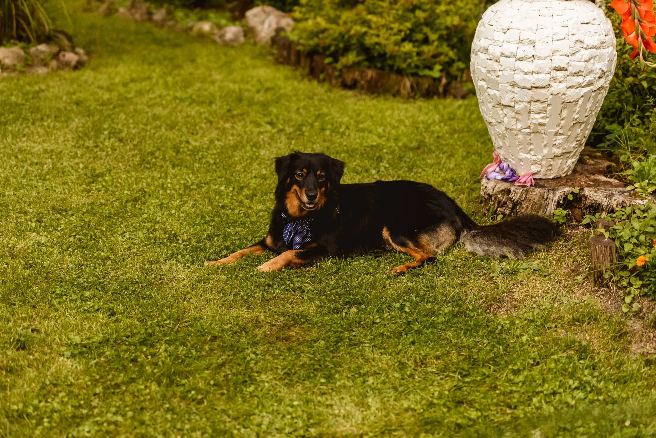KarolinaDamienWeddingWEB_0240.jpg