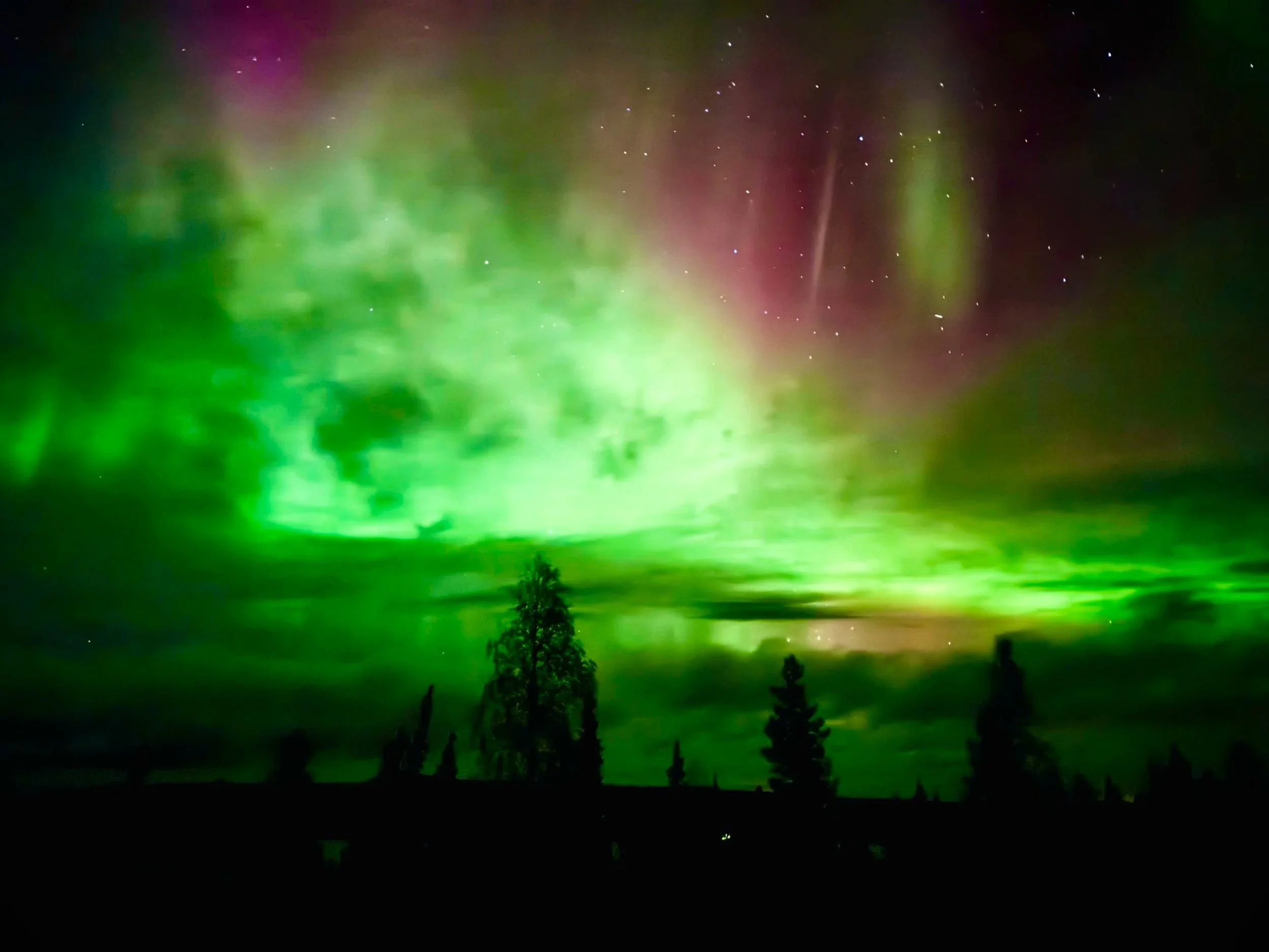 Northern Lights Safari, Lapland