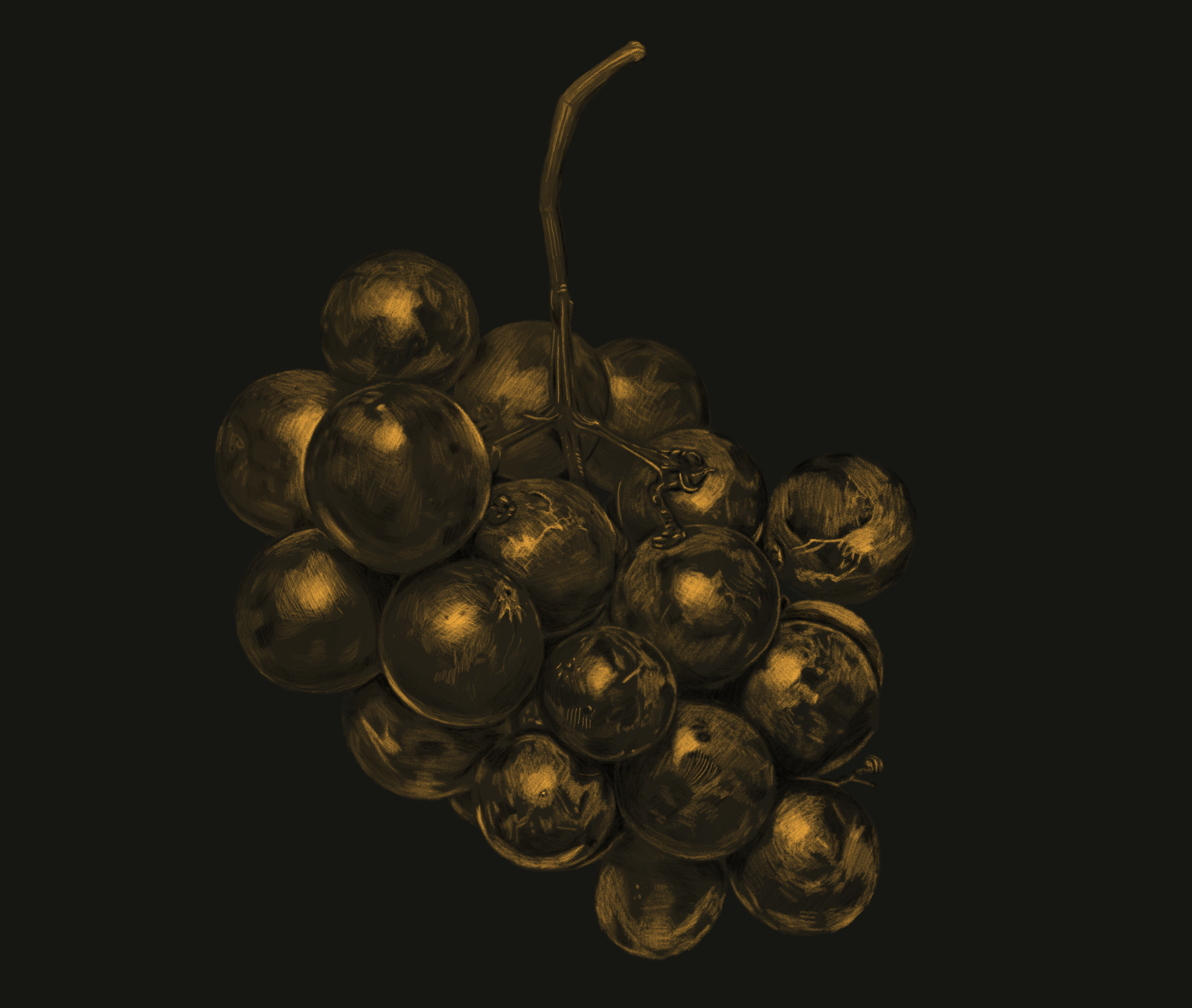 Grapes Illustration (Portfolio Series)
