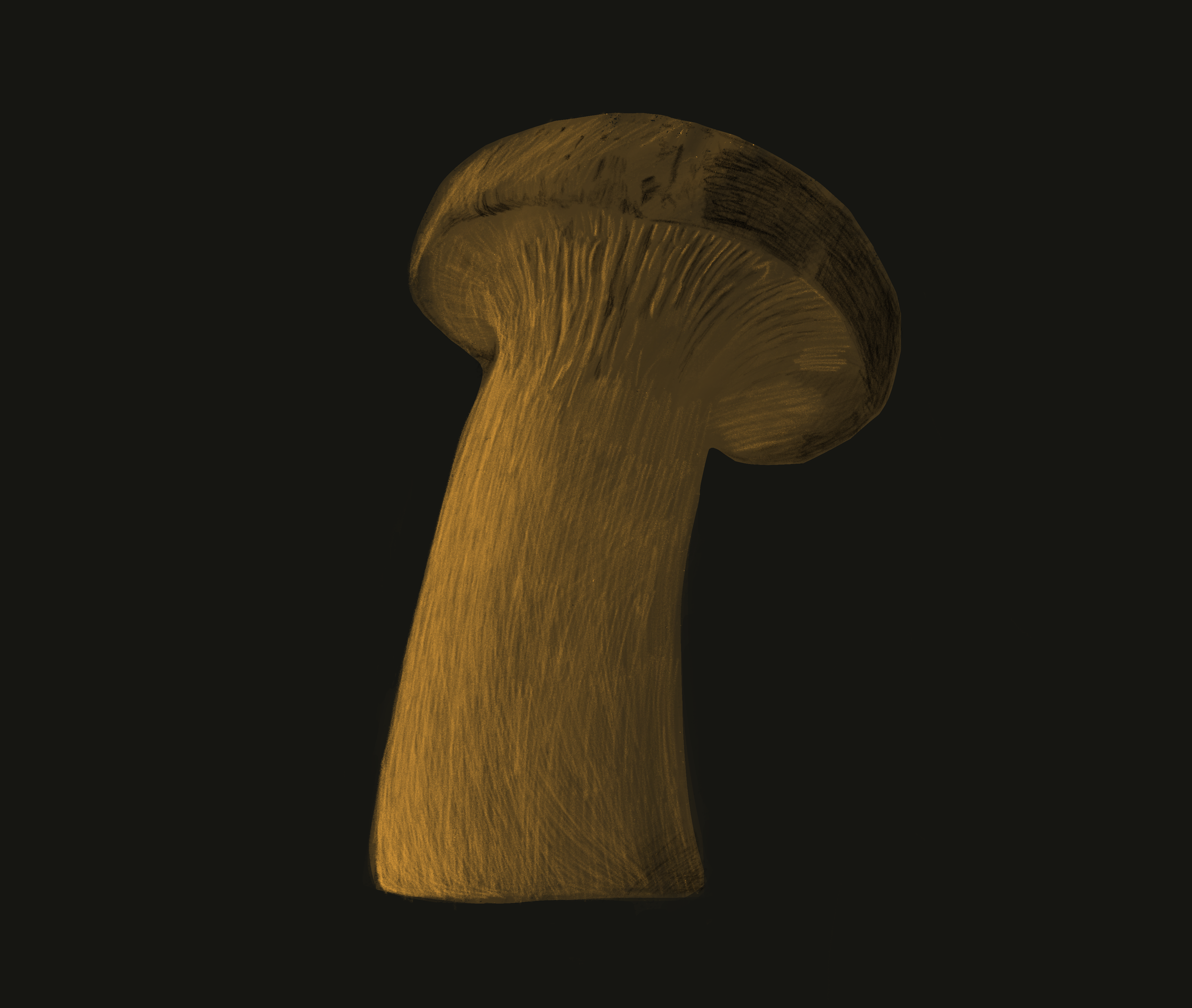 Mushroom Illustration (Portfolio Series)