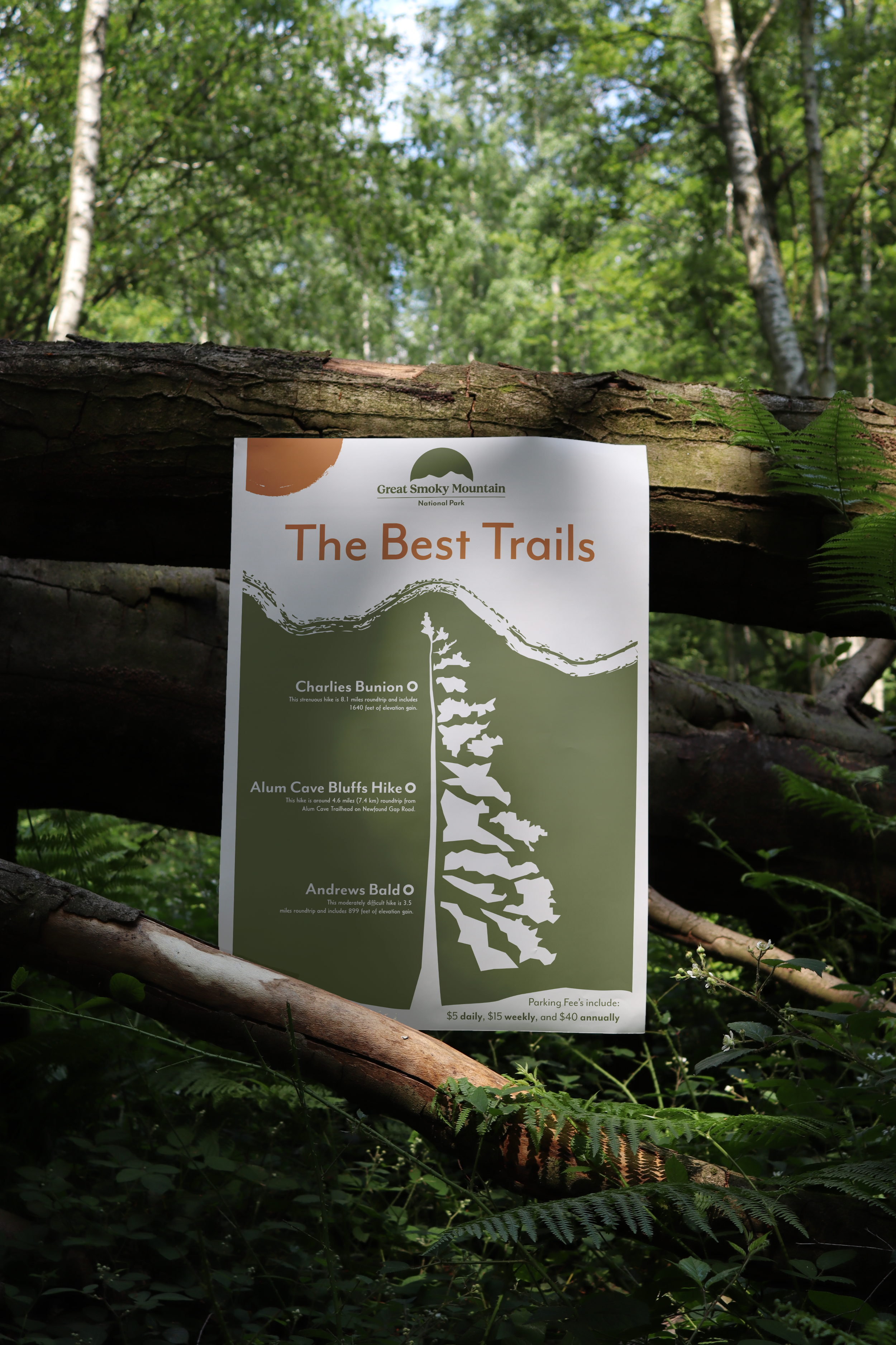 Smoky Mountain National park Poster