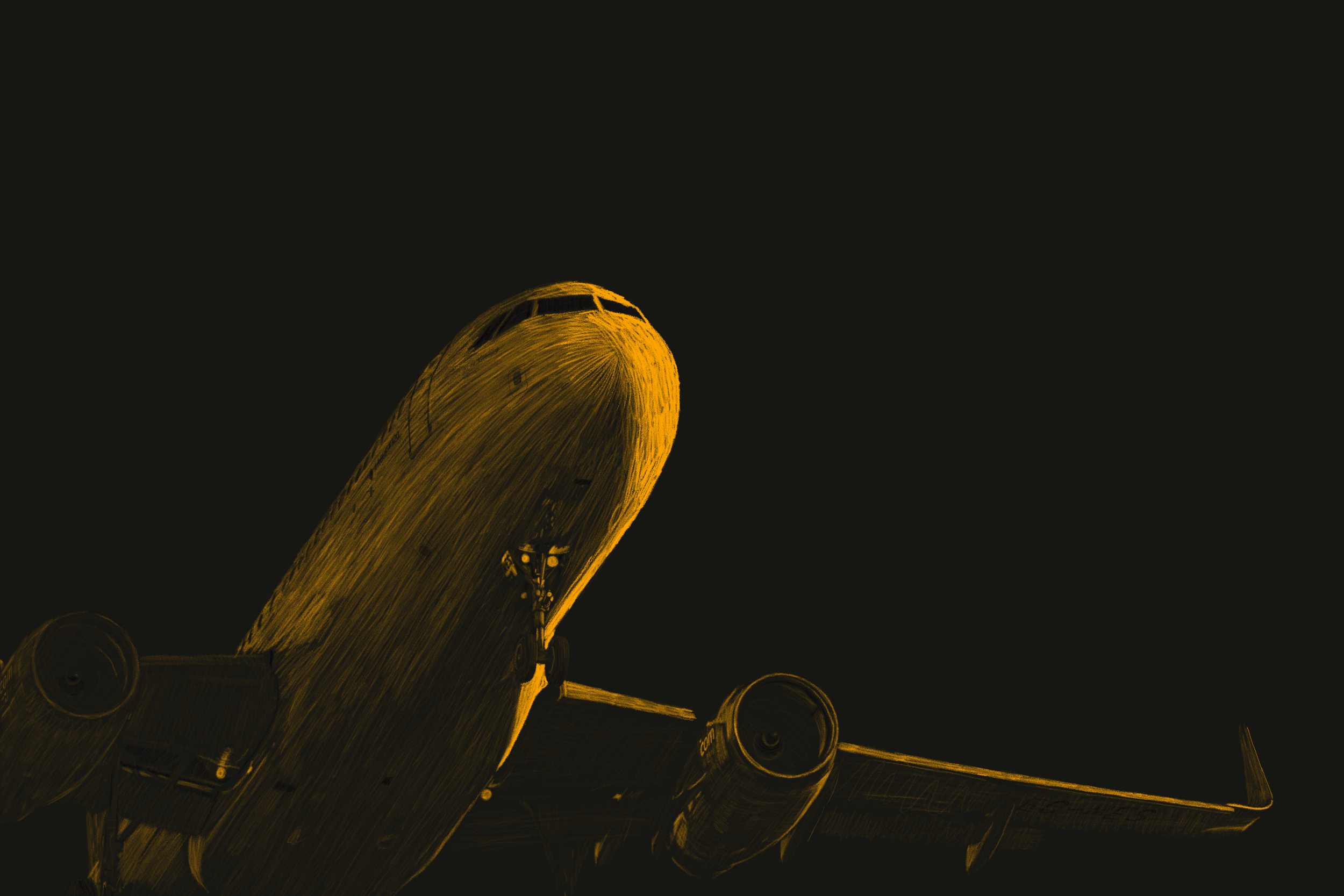 Airplane Illustration (Portfolio Series)
