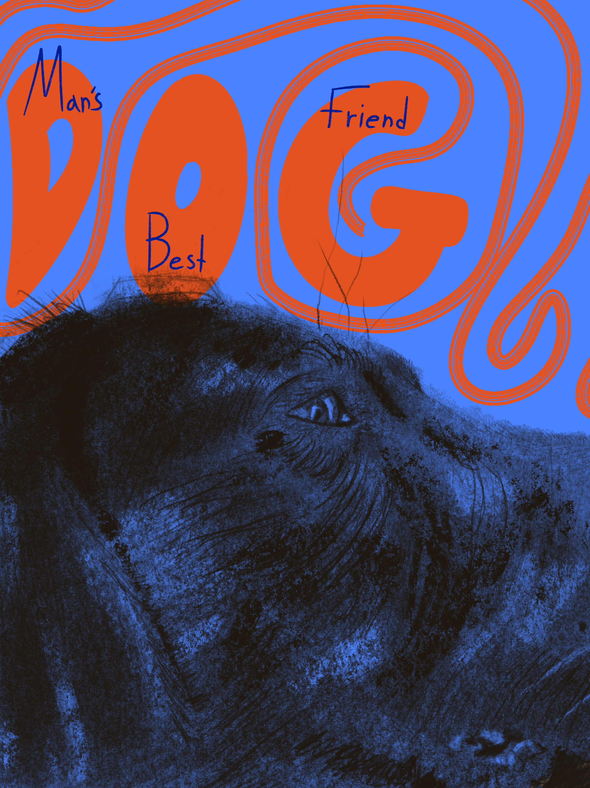Dog Illustration