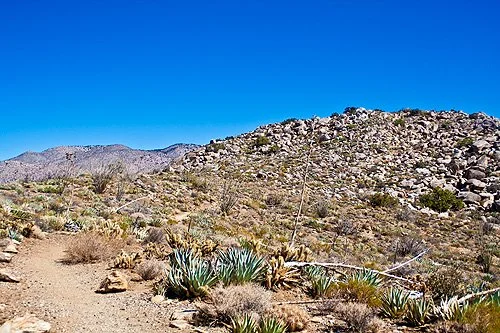 The Ghost Mountain Trail