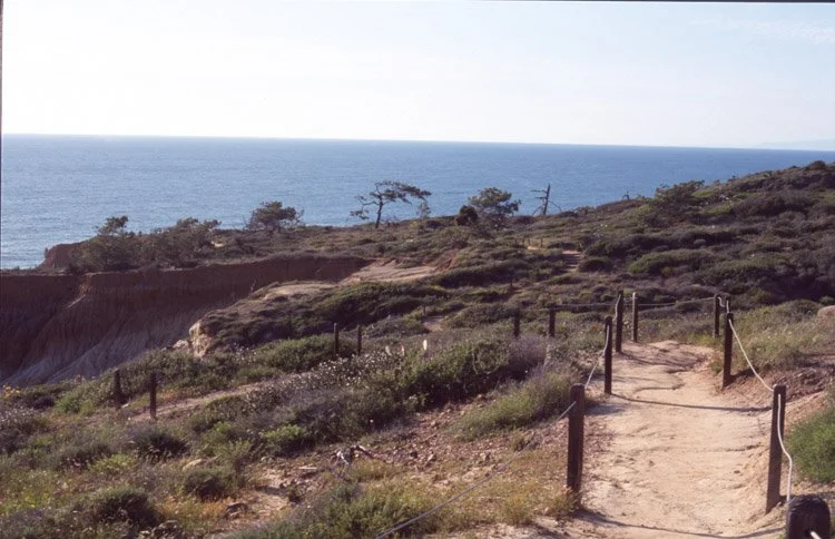 The Trail above the Sea