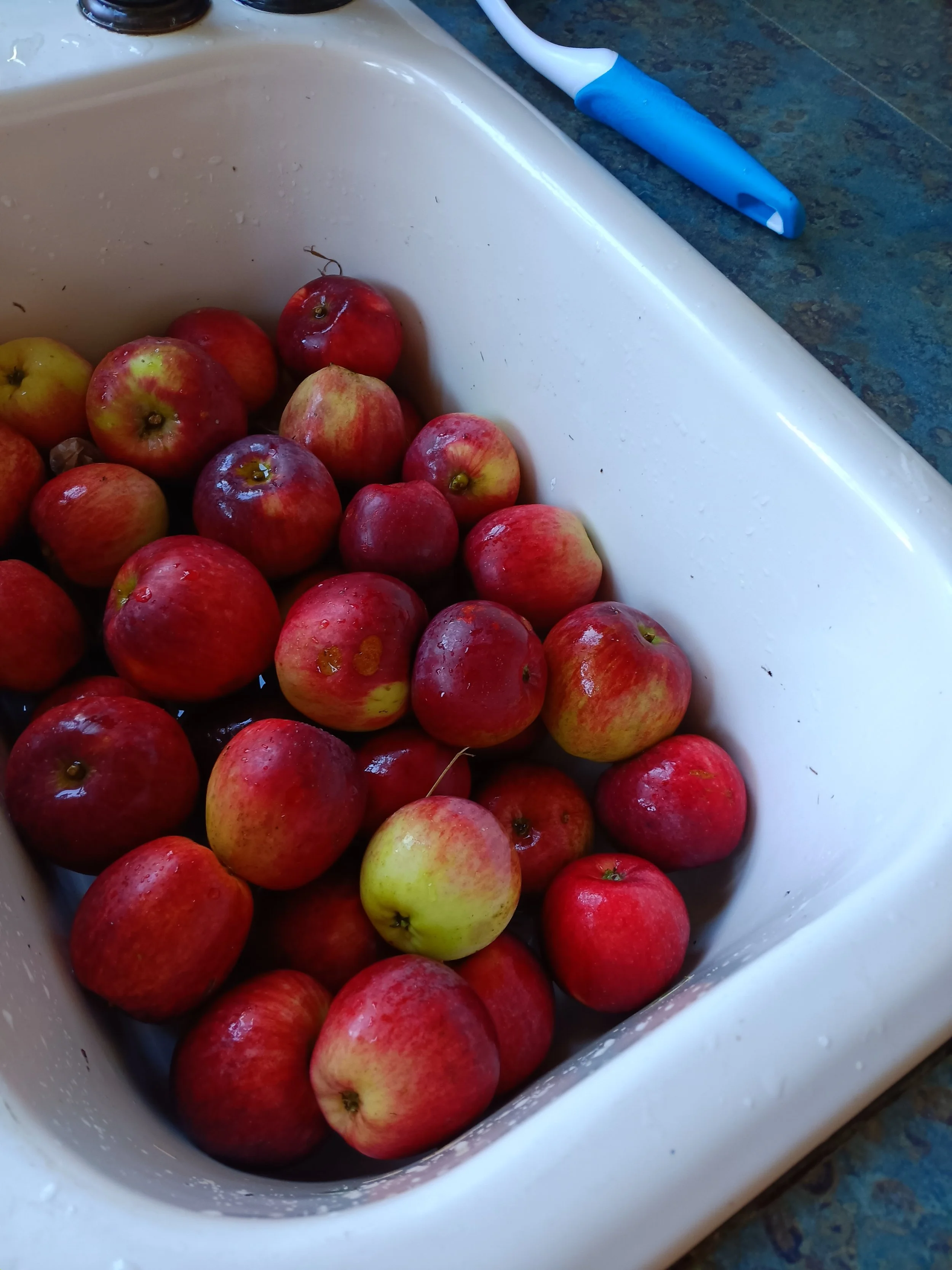 How ya like them apples?