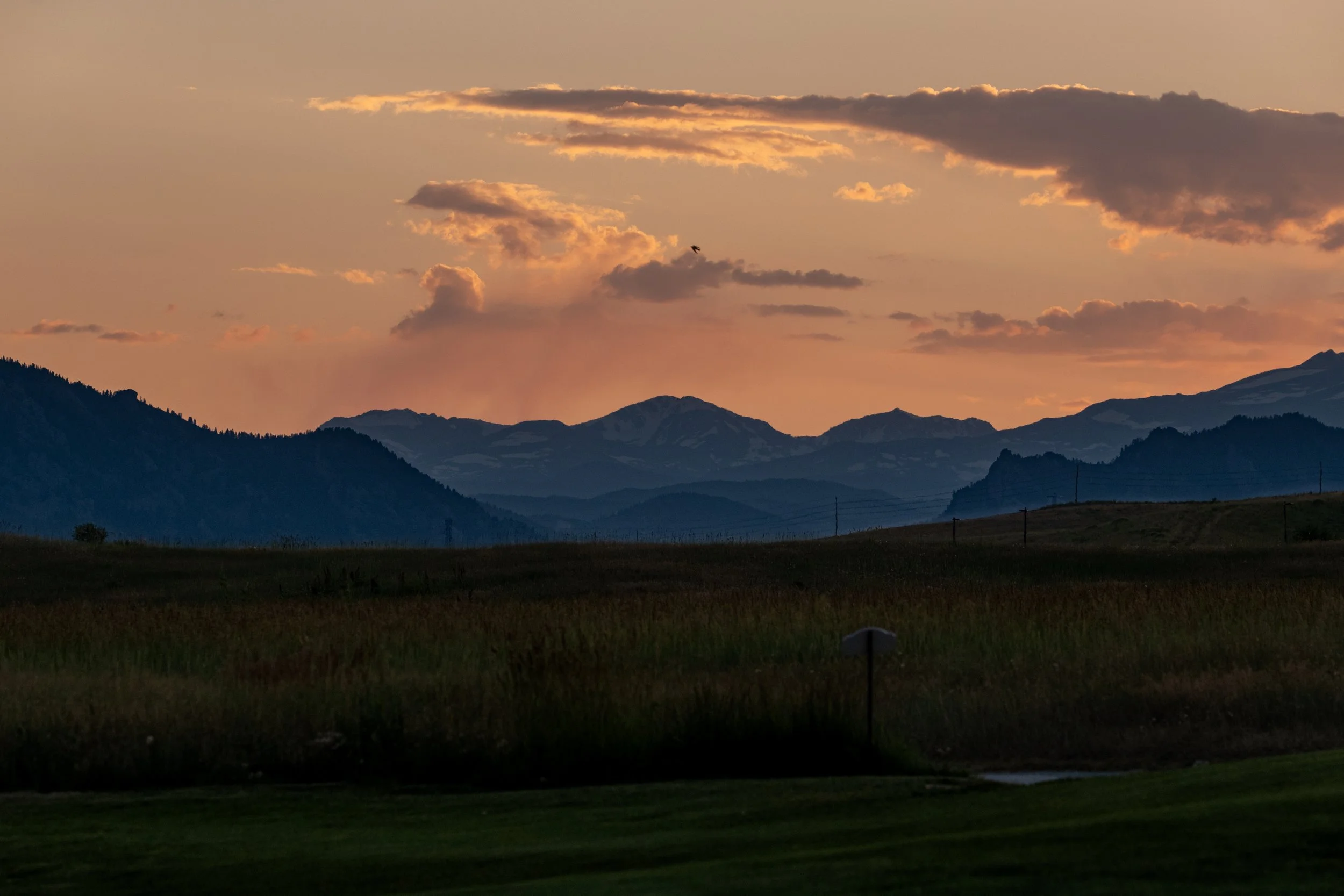 P1024624.jpg