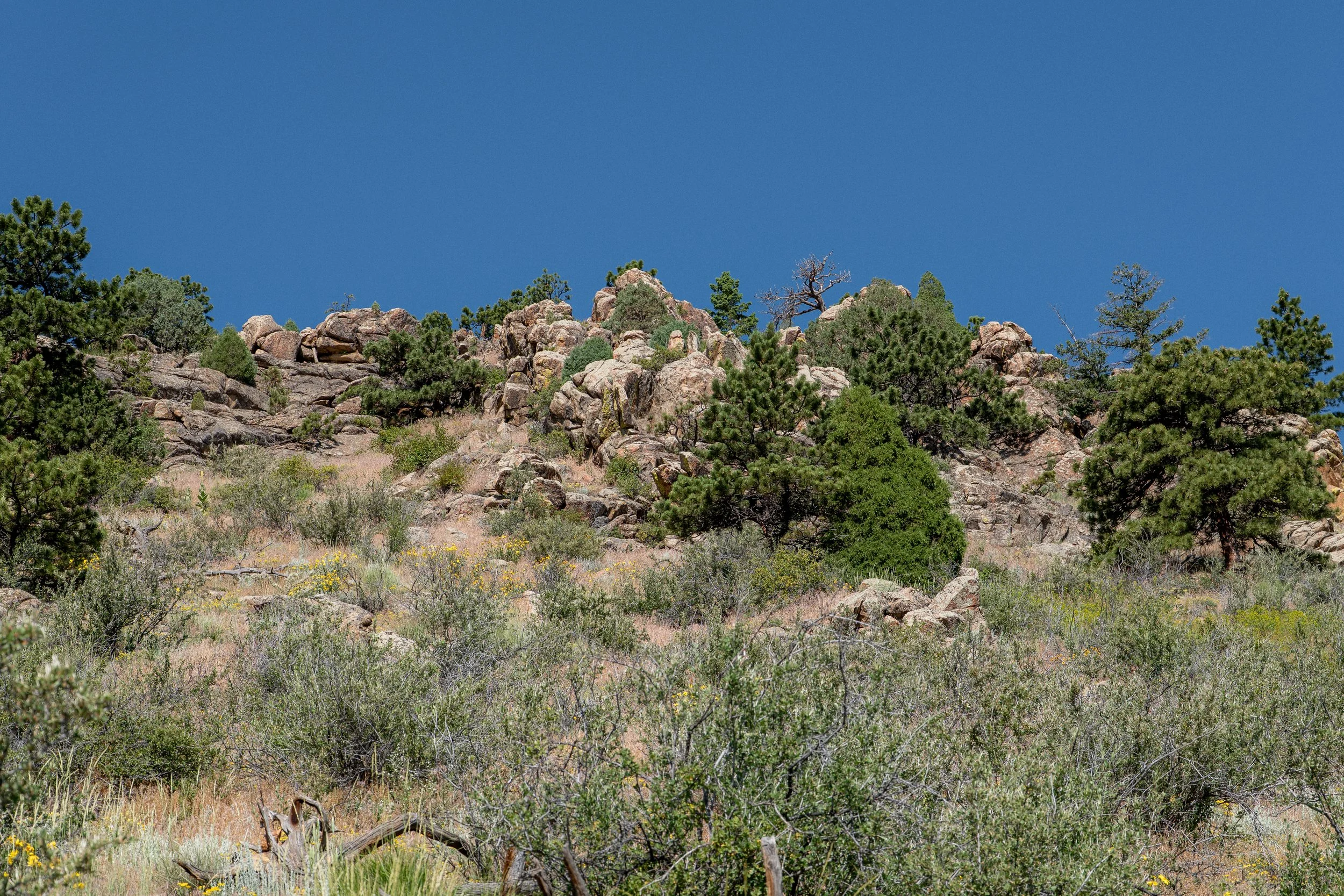 P1024665.jpg
