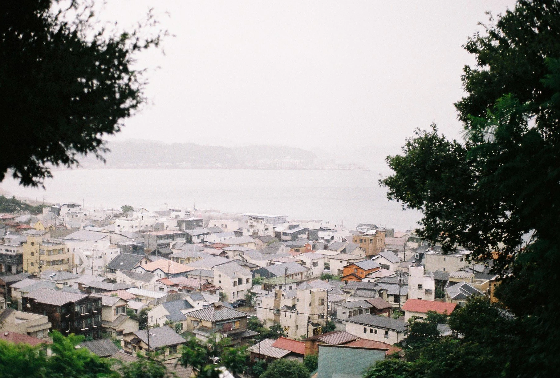 1012599_0025.JPG