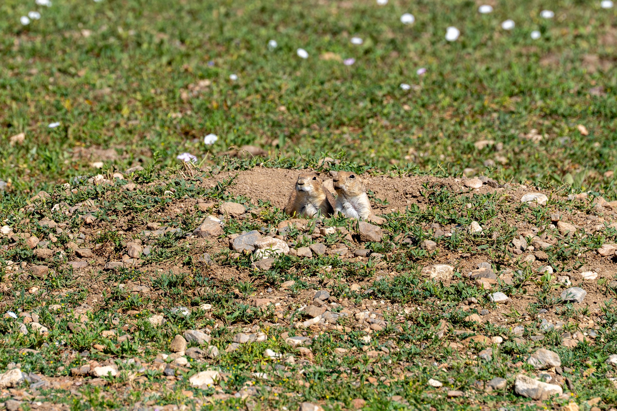 P1024884.jpg