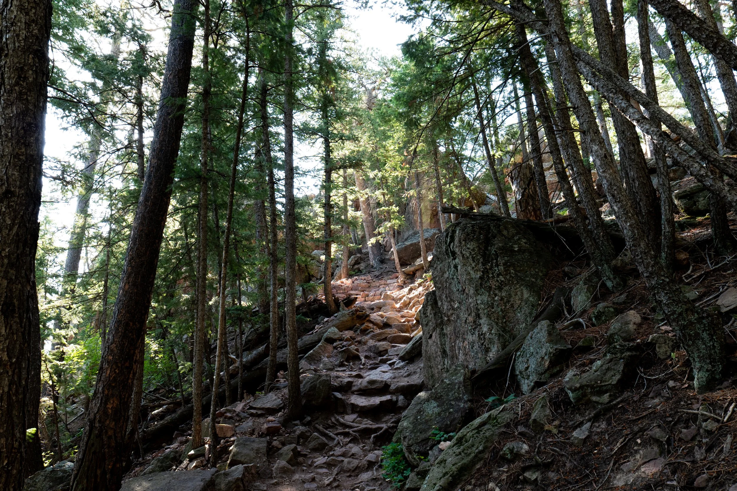 P1024394.jpg
