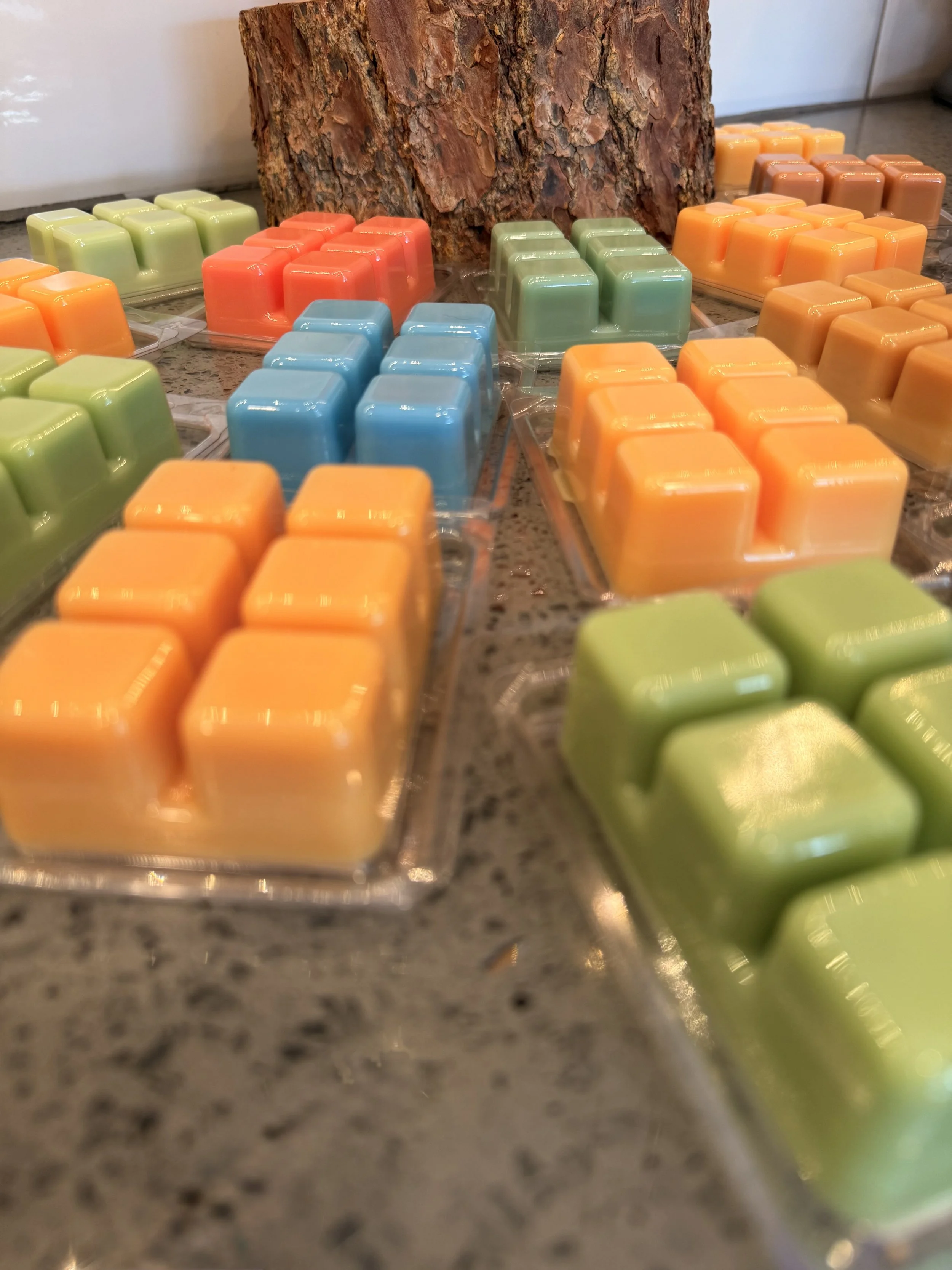 Between Seasons 🎄