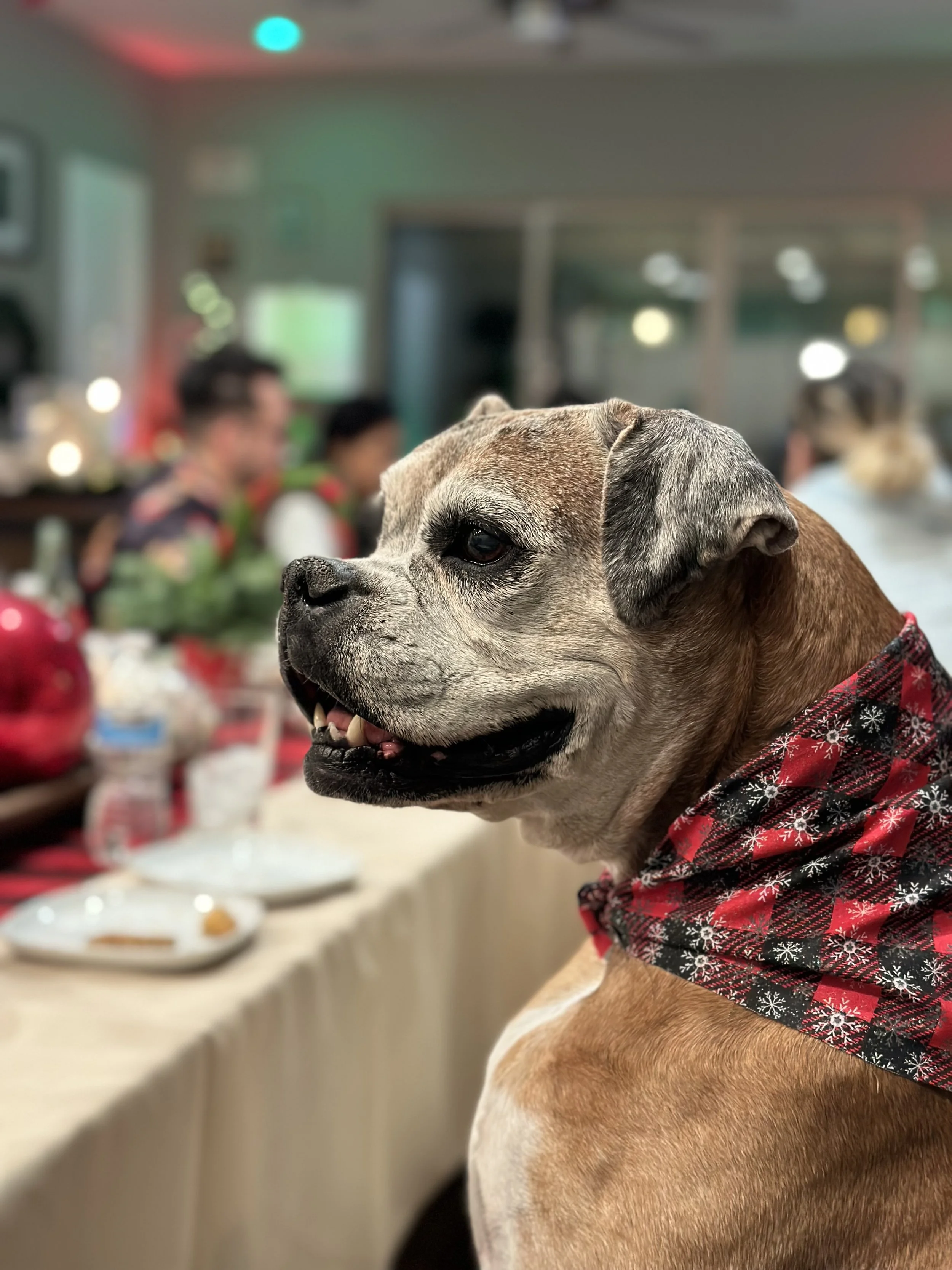 Charlie at the dinner table