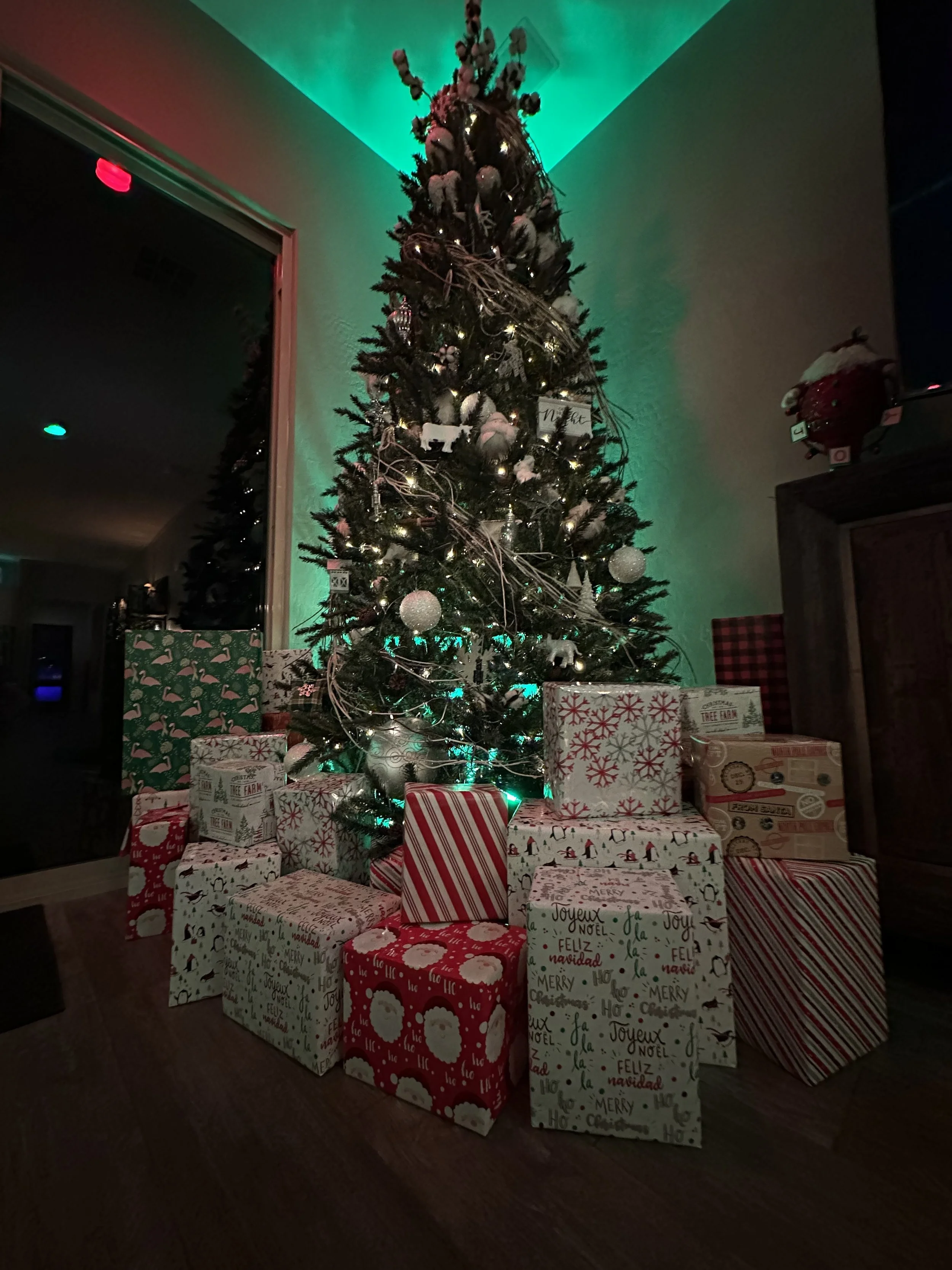 We love a dramatic tree