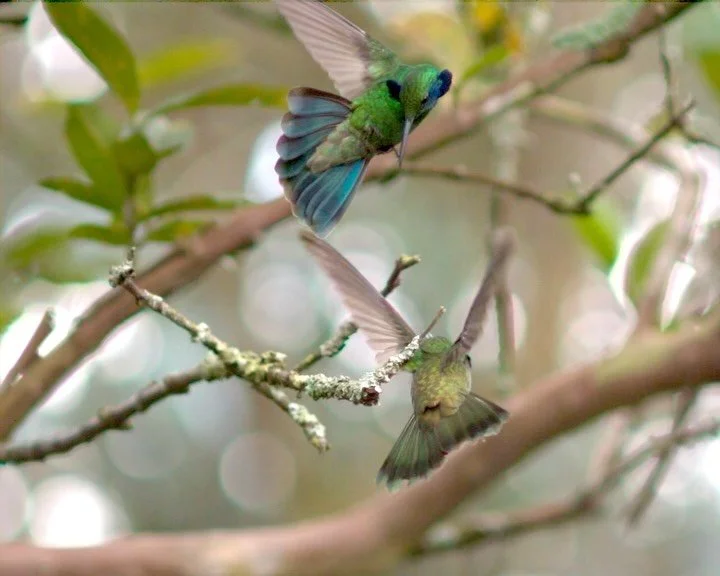 Throwback to some dreamy frames in Colombia ✨🇨🇴

More on this project to come, but probably not until spring of next year! I&rsquo;m gearing up for lots of projects this winter and into 2026, and can&rsquo;t wait to share more :)