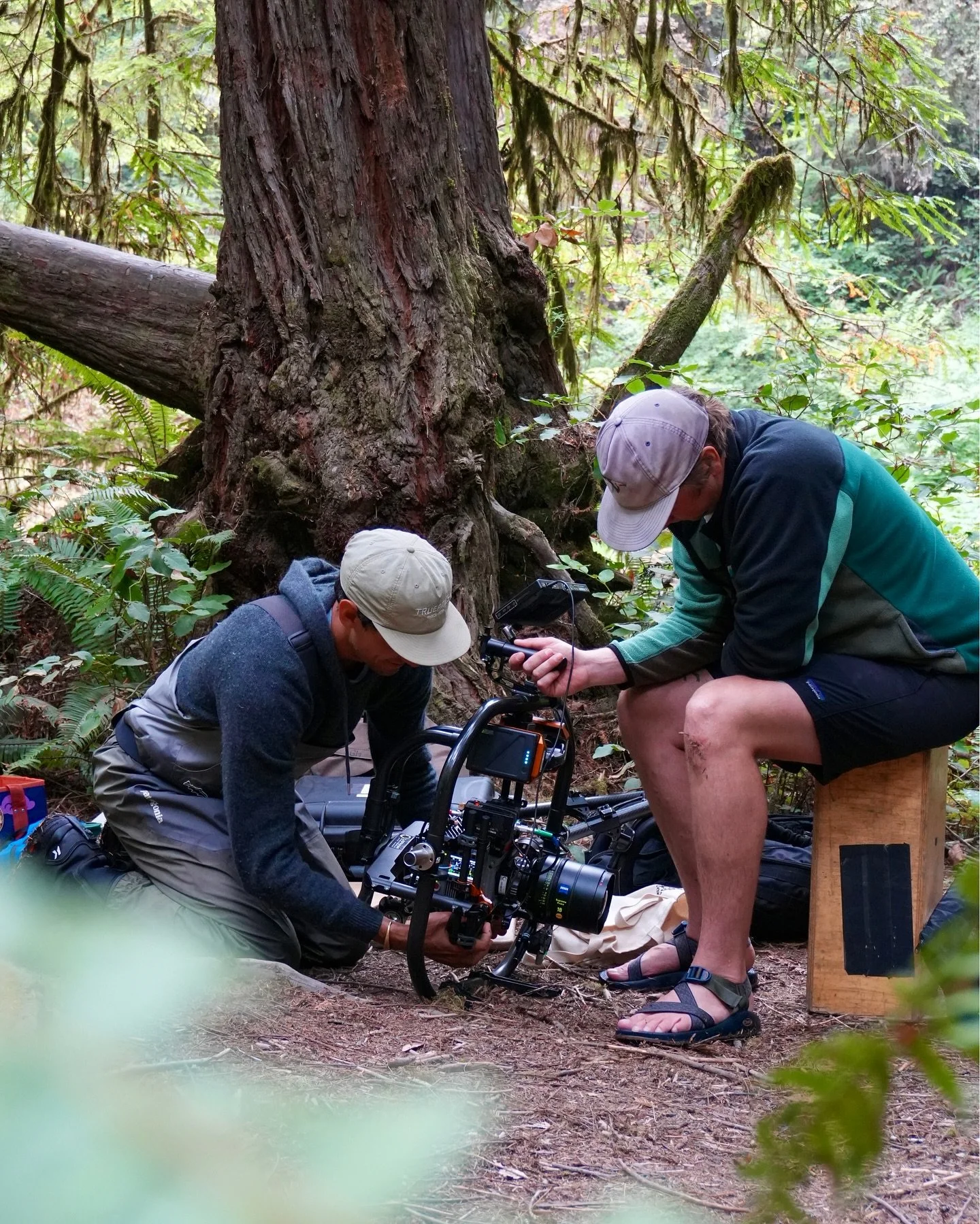throwback to the fishiest + funkiest shoot of the summer (ft. tsunami evacuation)🐟🎥🌲

more on this in 2026! eek!!!