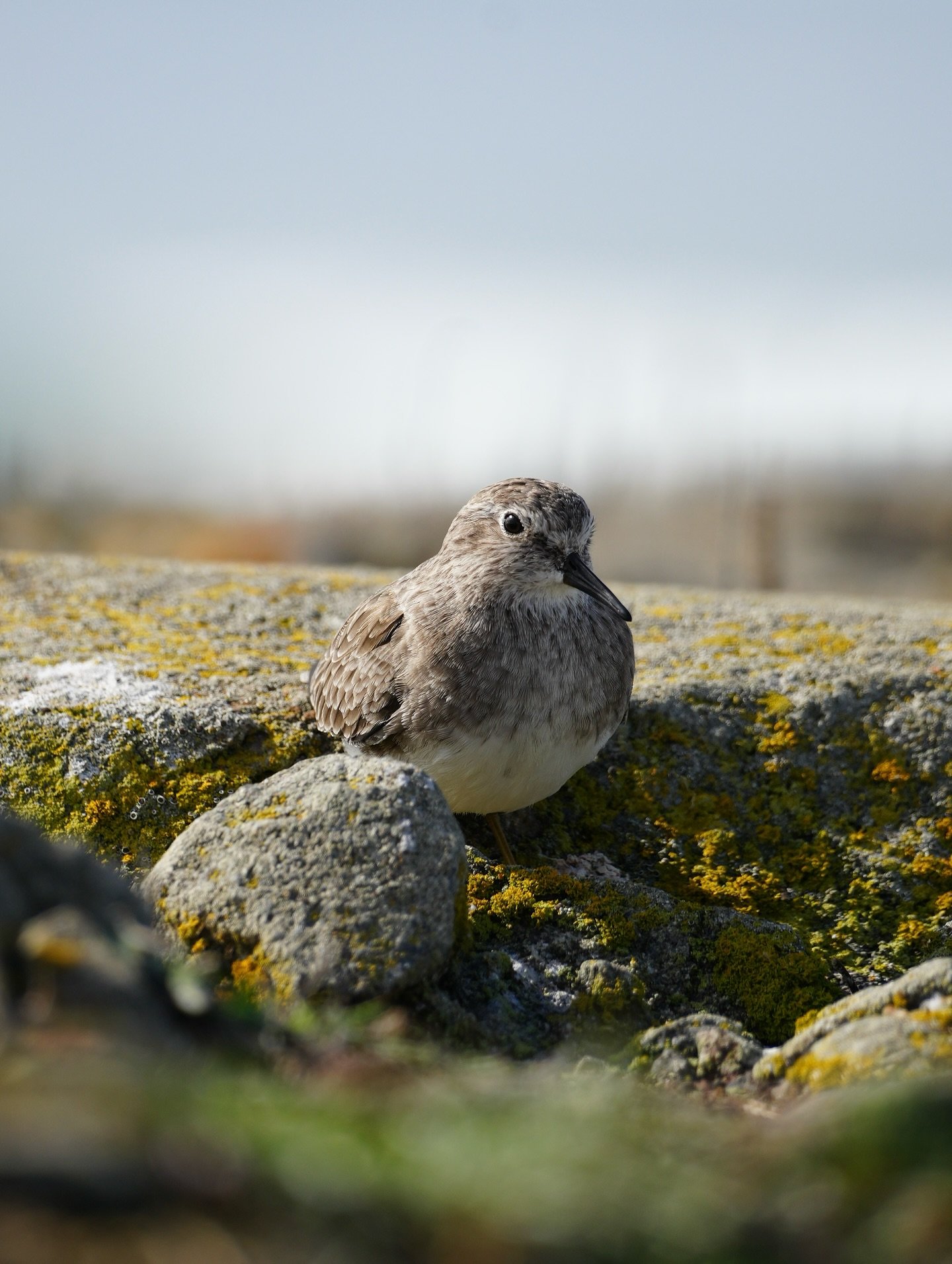 We are big fans of ocean-powered R&amp;R 😴