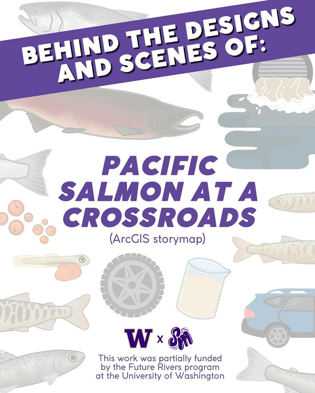 salmon storymap illustrations and imagery support on a future rivers project (@uwearthlab) 🐟🚗

huge thank you to @amirah_casey and Nat for having me on this project!