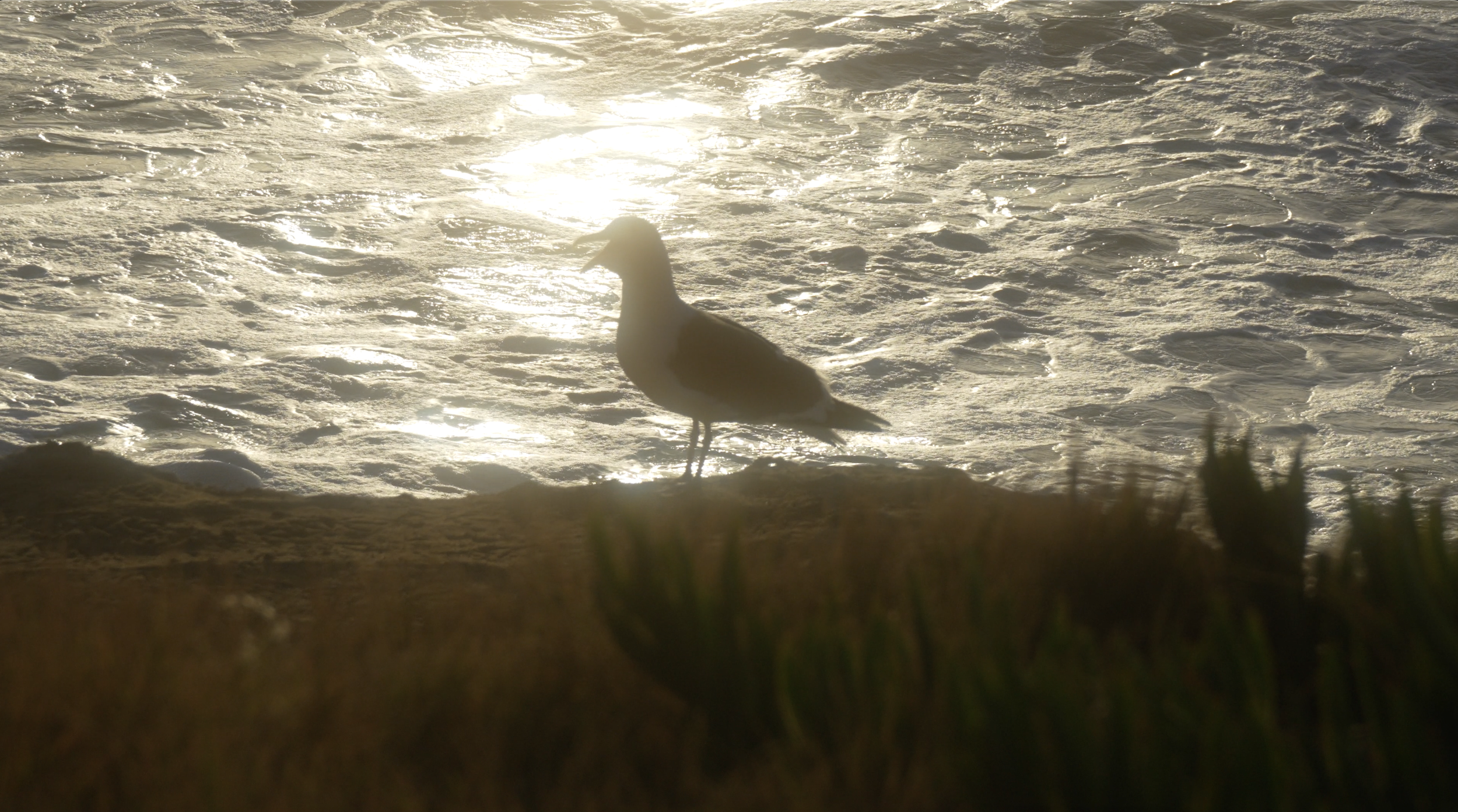 Screenshot 2024-06-29 at 1.54.05 PM.png