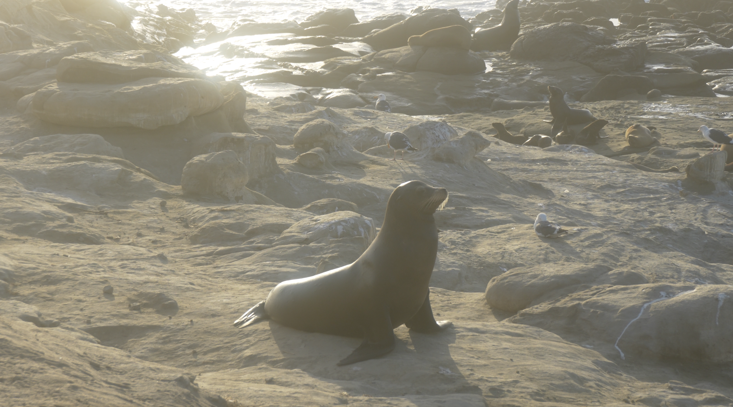 Screenshot 2024-06-29 at 1.53.38 PM.png